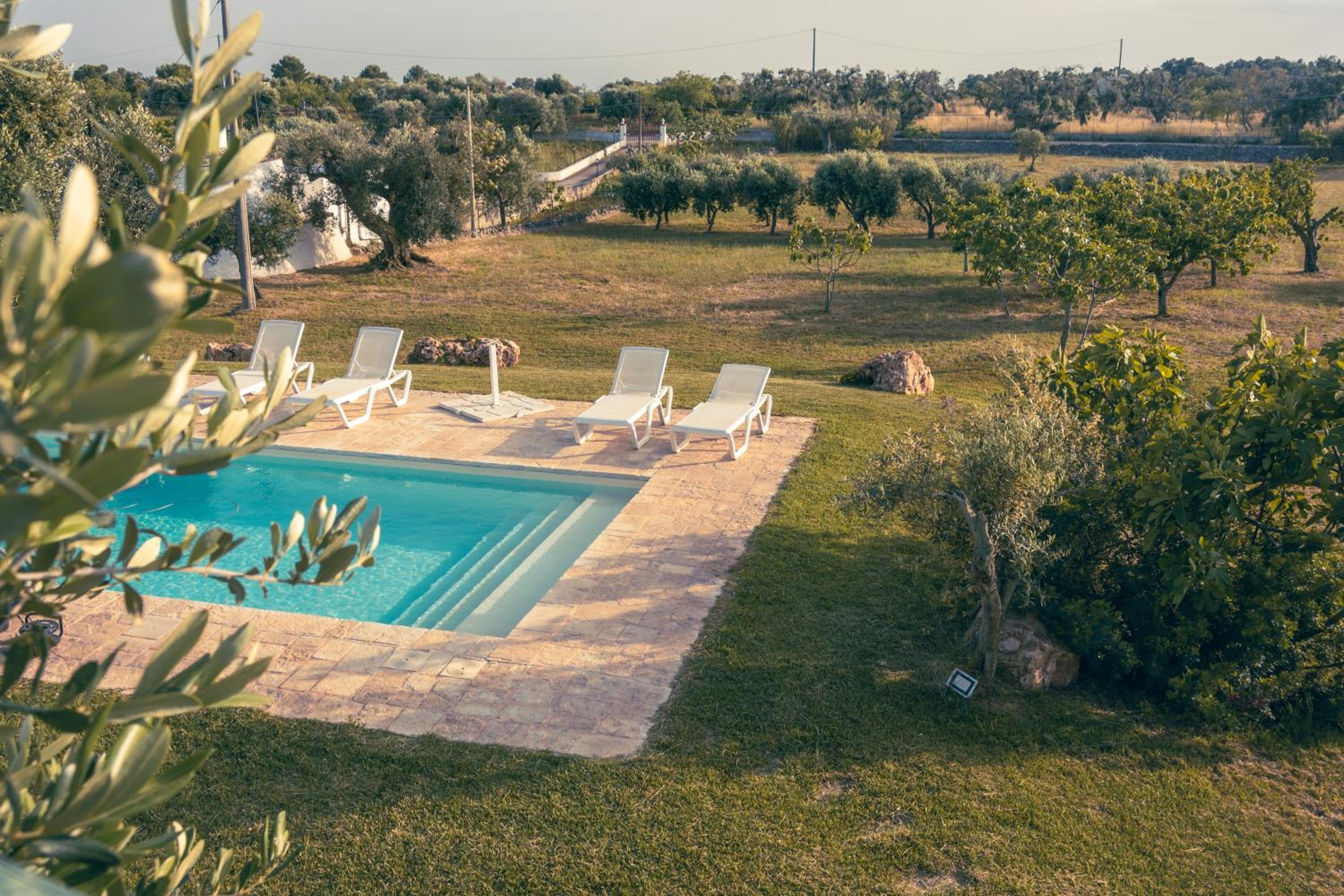 Photo 75