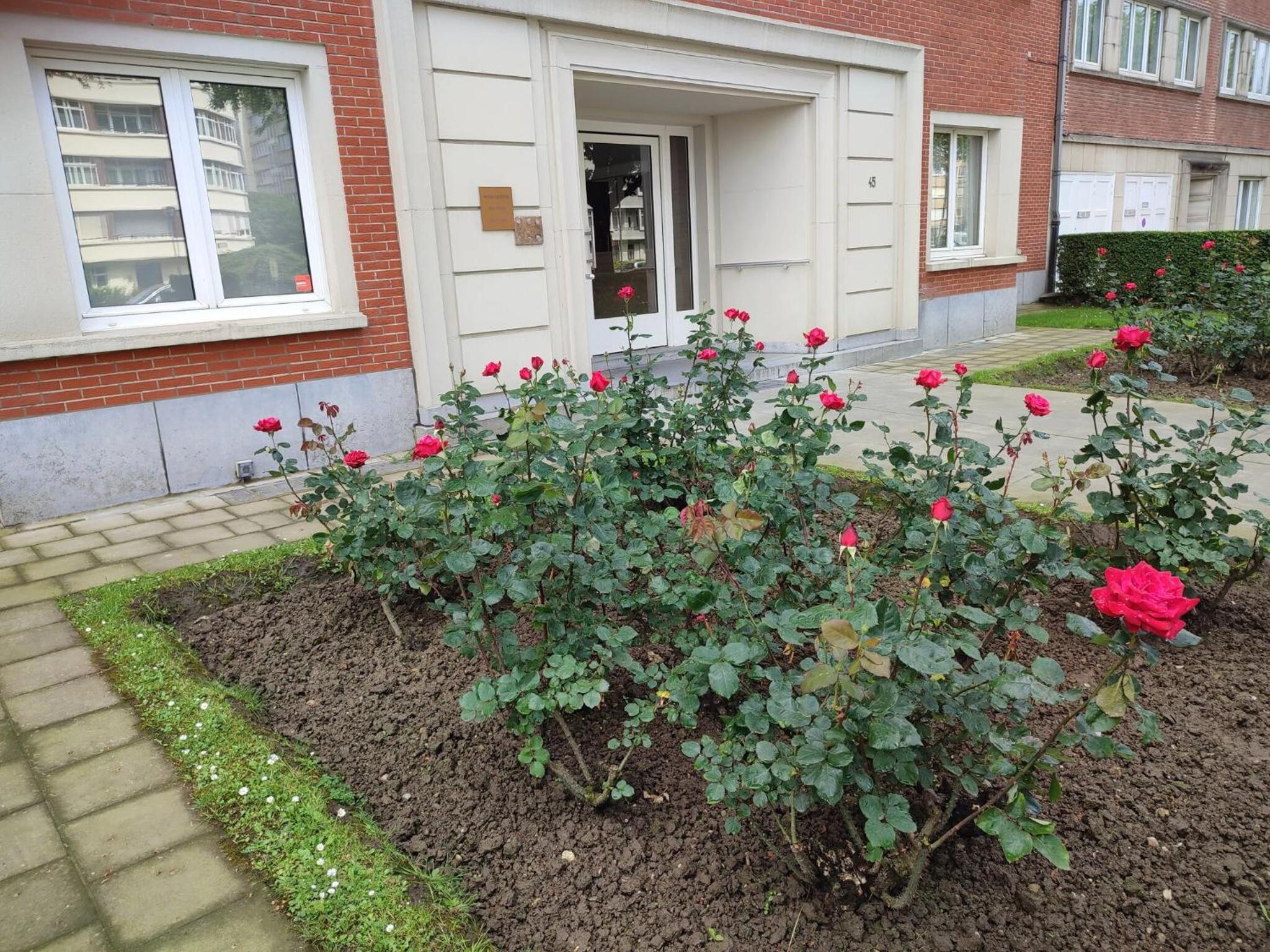 Charming apartment in Etterbeek 70 m² with balcony