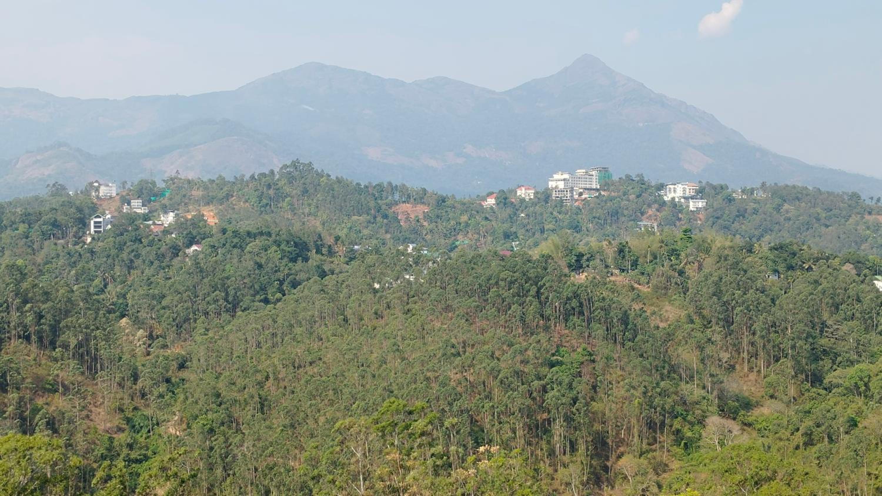 Nature season holidays munnar