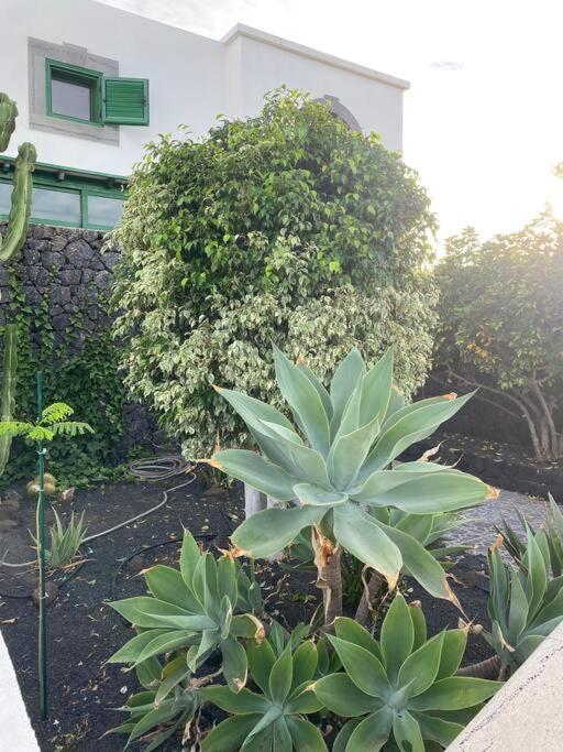 Macaronesia casa privada con piscina en Lanzarote