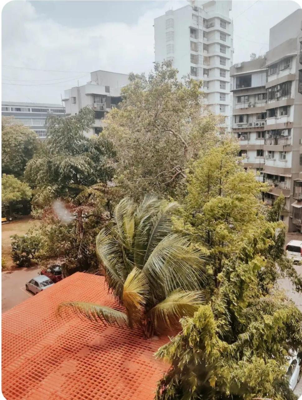 Cozy N Spacious 1bhk Off carter rd Bandra (W) view 3