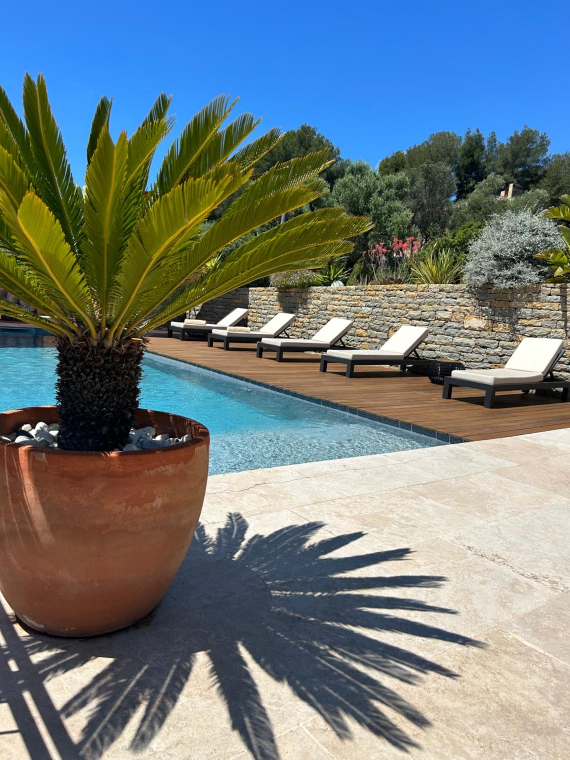Côté vignes cassis, photo 28