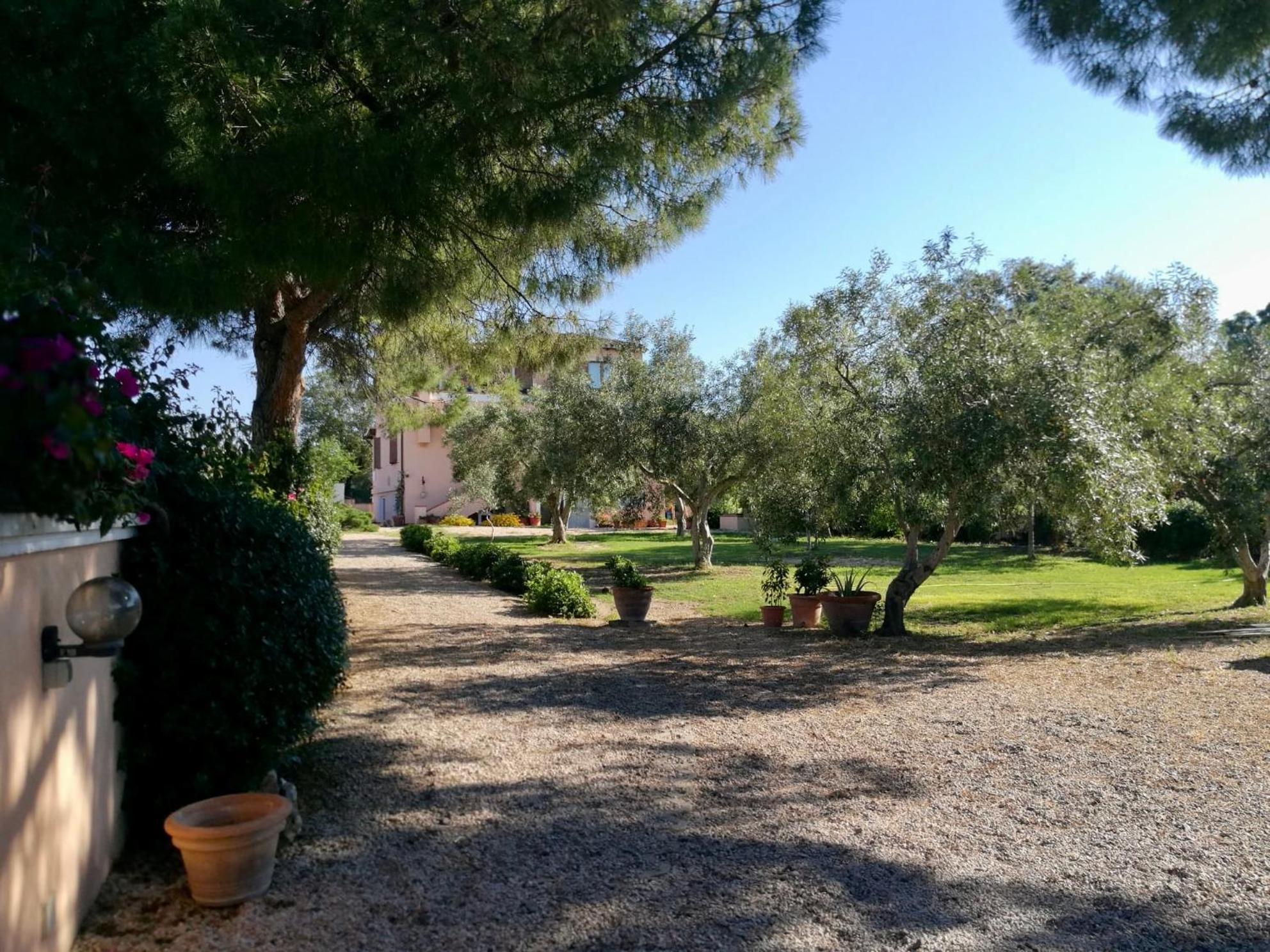 Photo 46