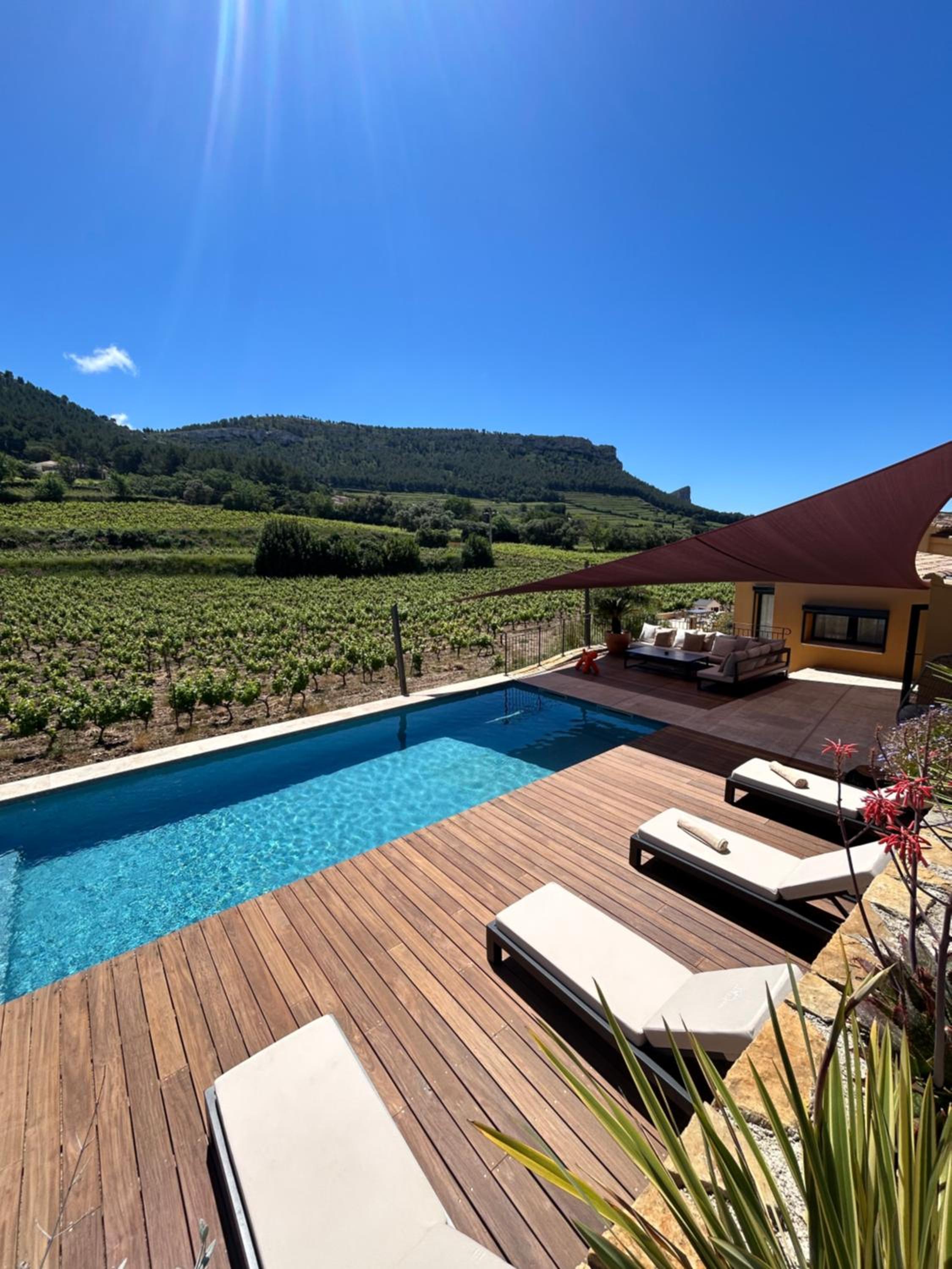 Côté vignes cassis, photo 23