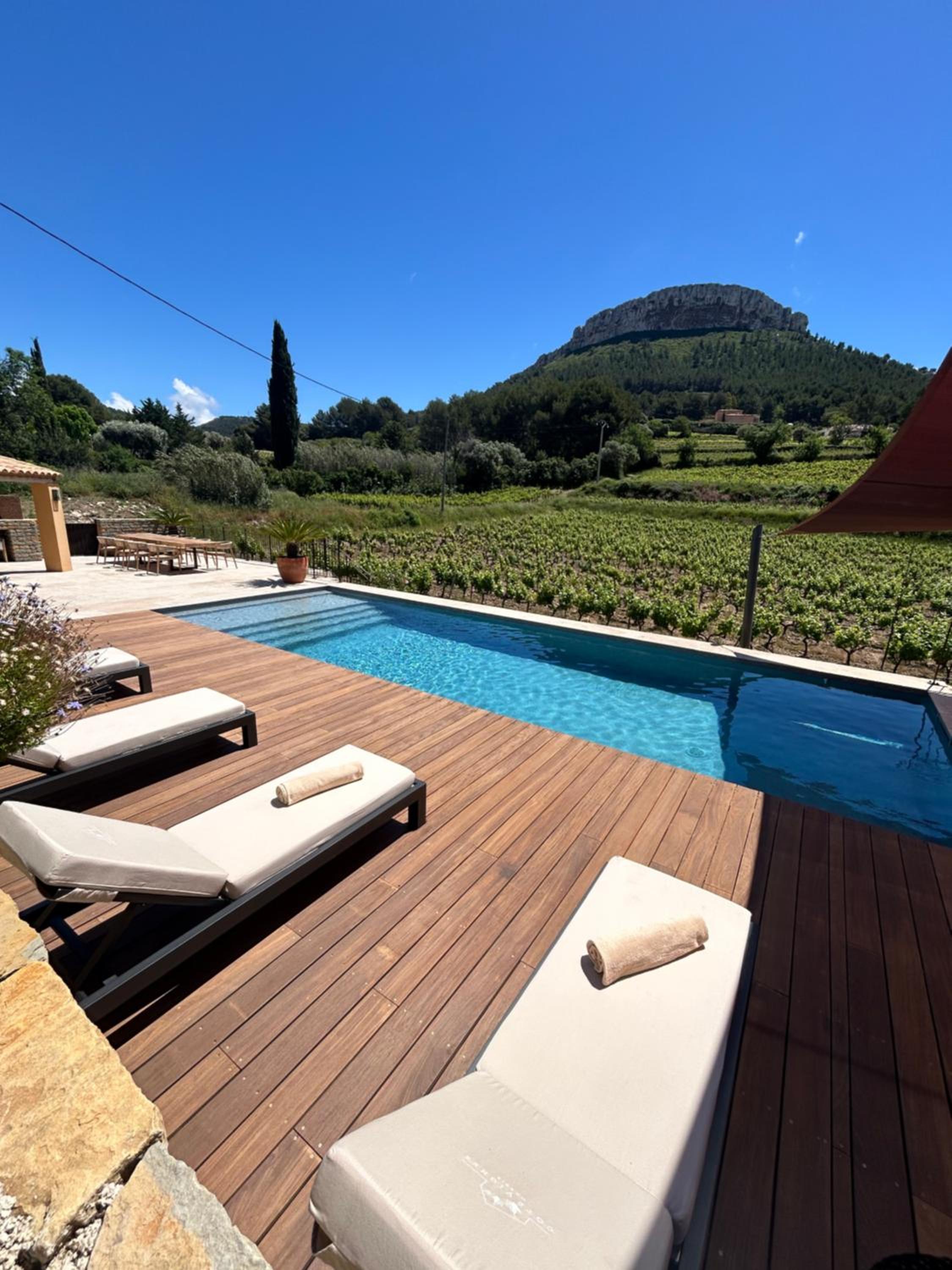 Côté vignes cassis, photo 34
