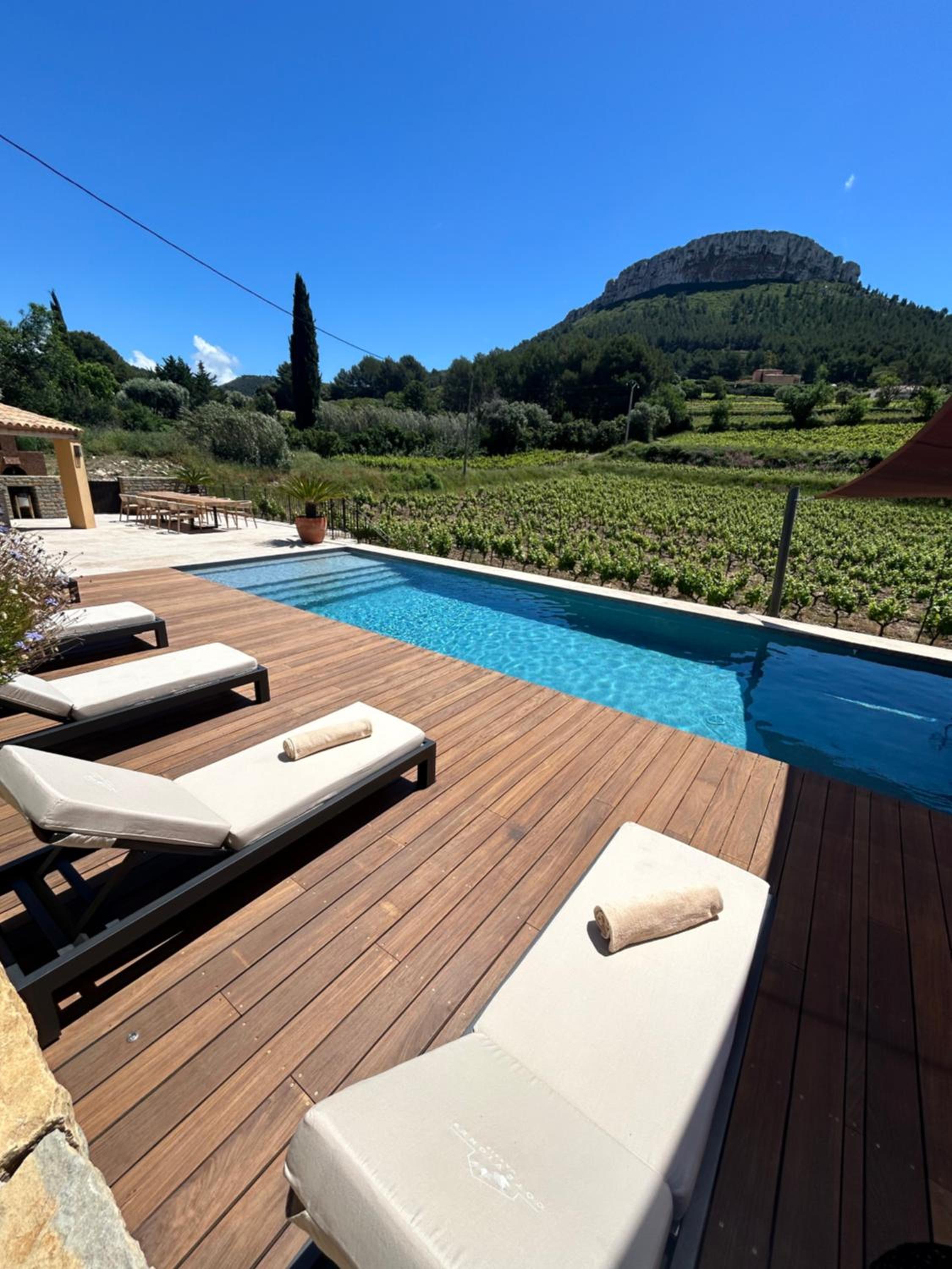 Côté vignes cassis, photo 45