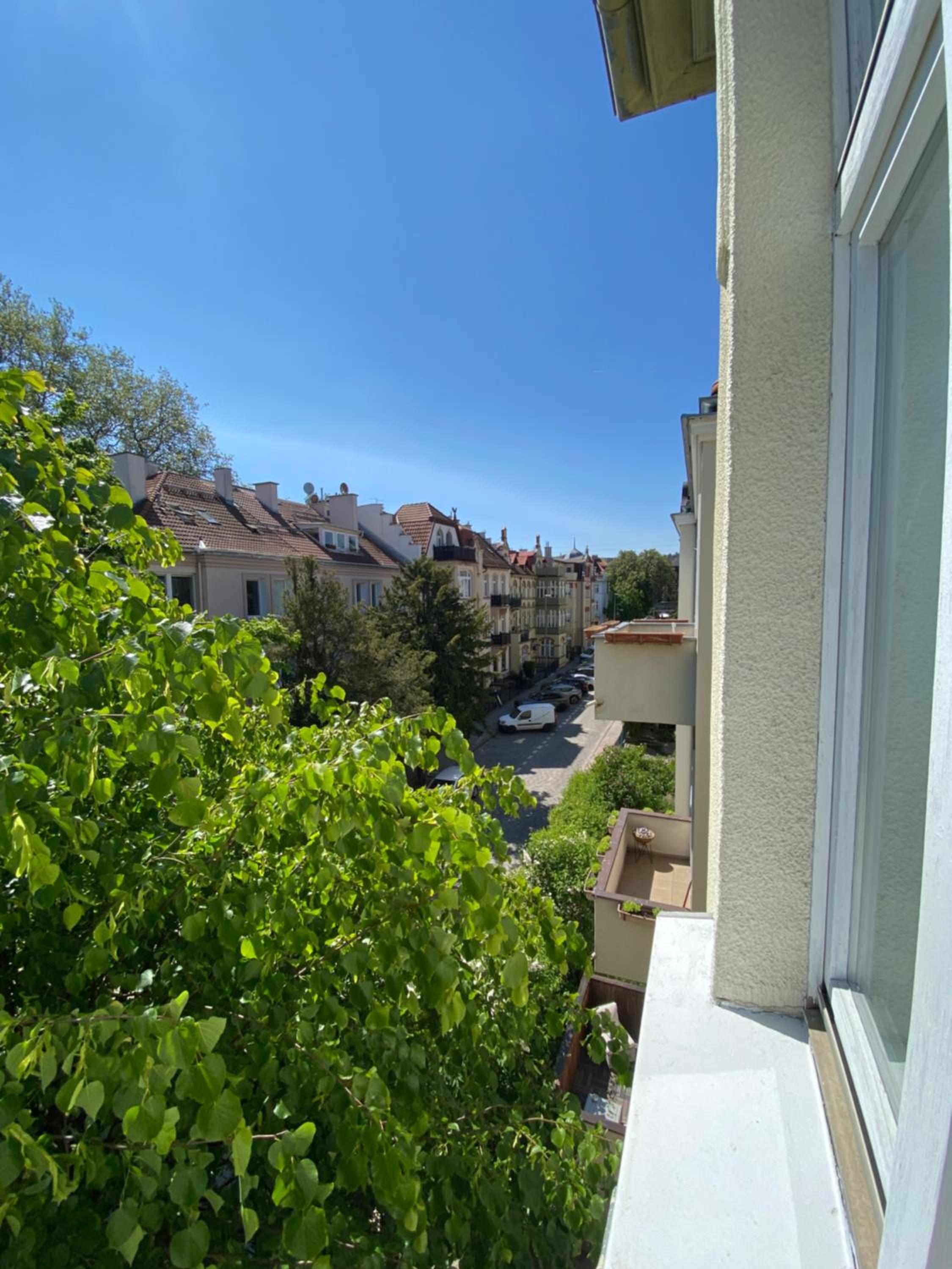 Photo 51