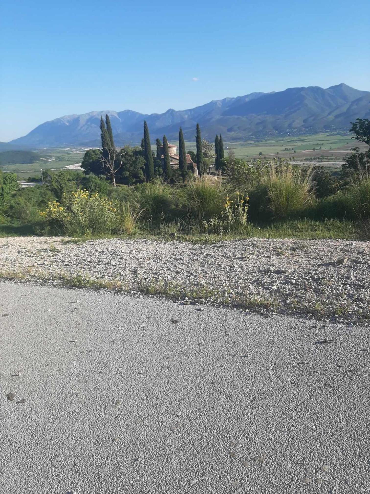 Garufalia