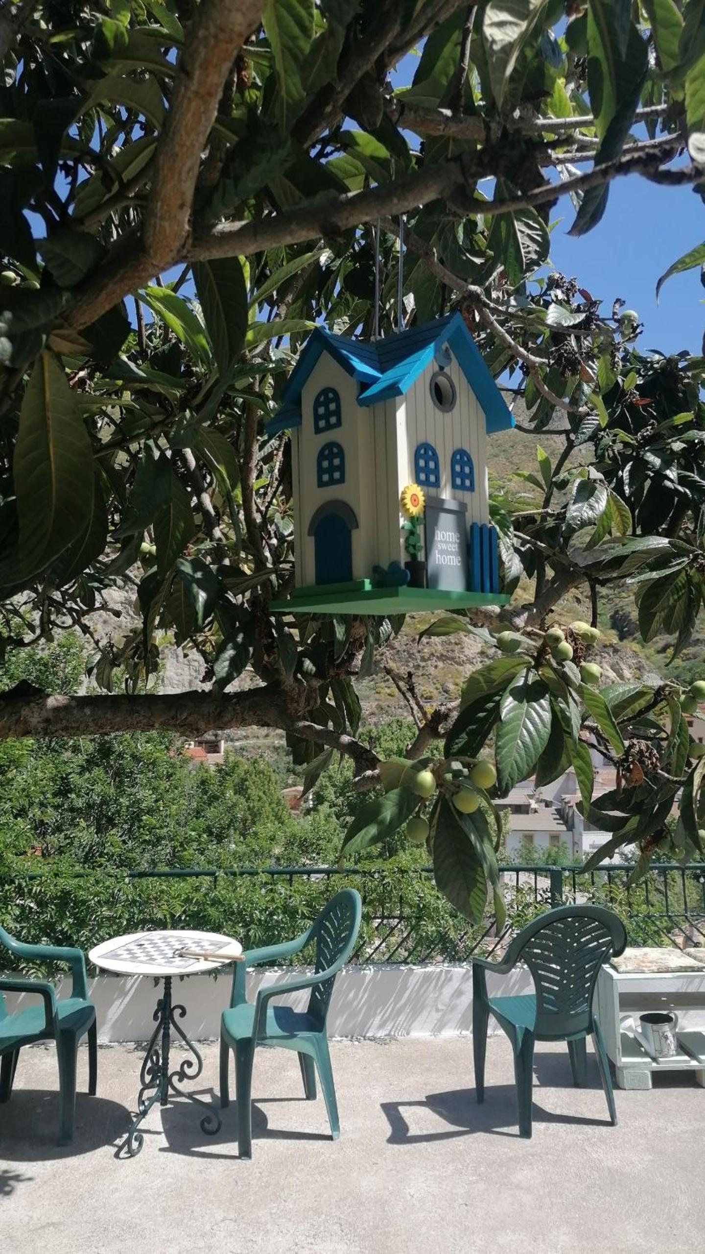 Photo 16