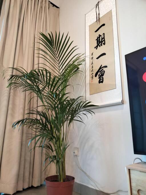 035 Palazio Apartment Japanese style Studio Mount Austin Wifi & Netflix