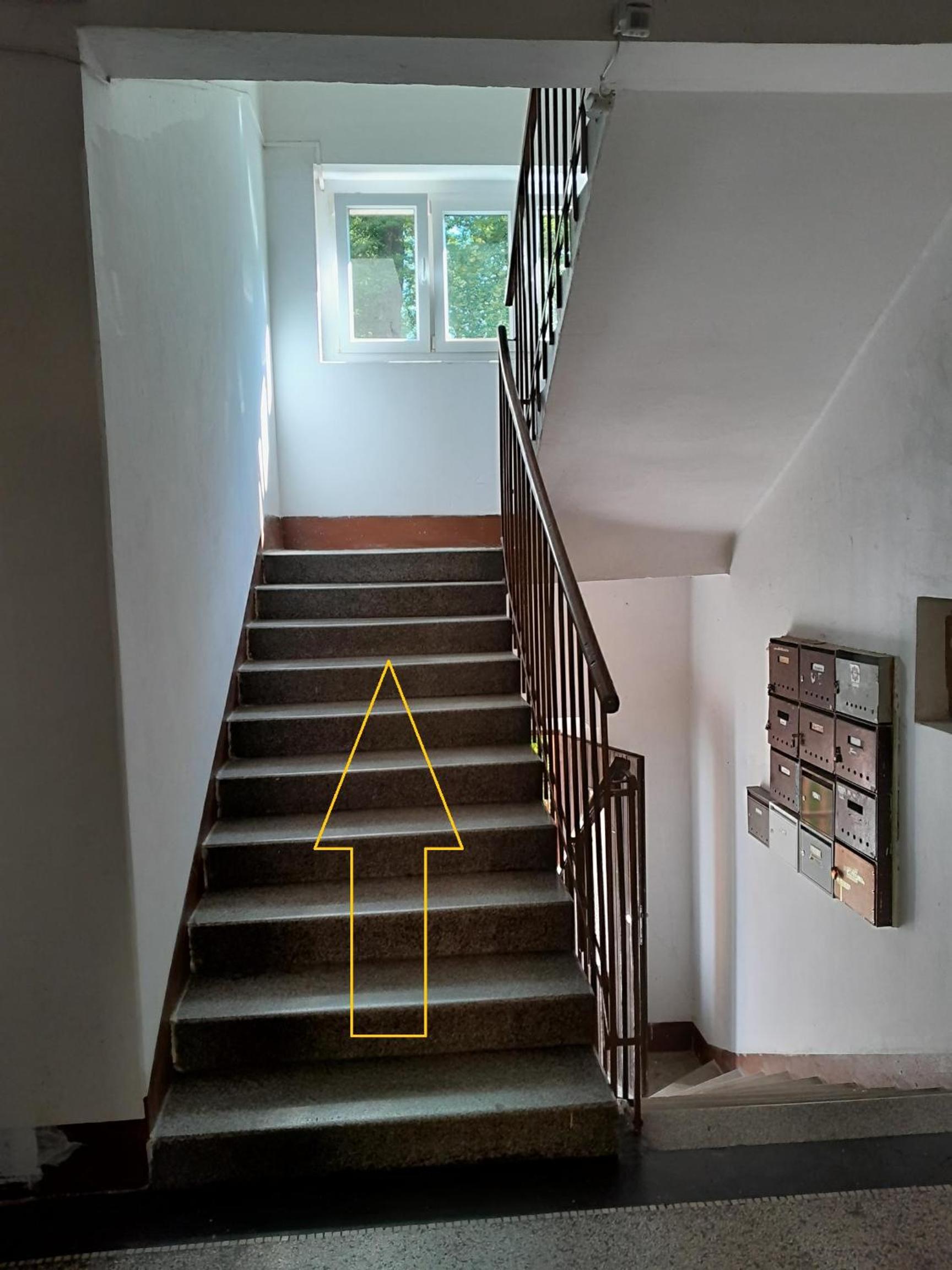 Apartmán Rosa