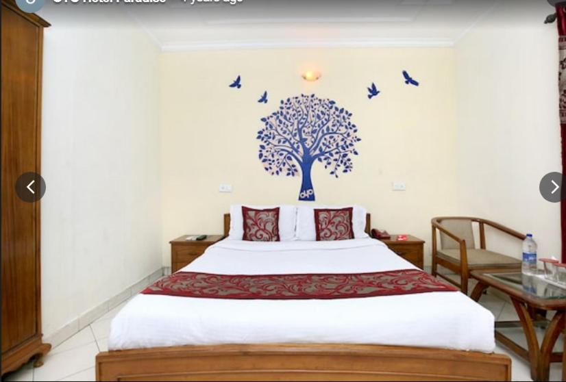 Hotel Paradise Chandigarh, photo 15
