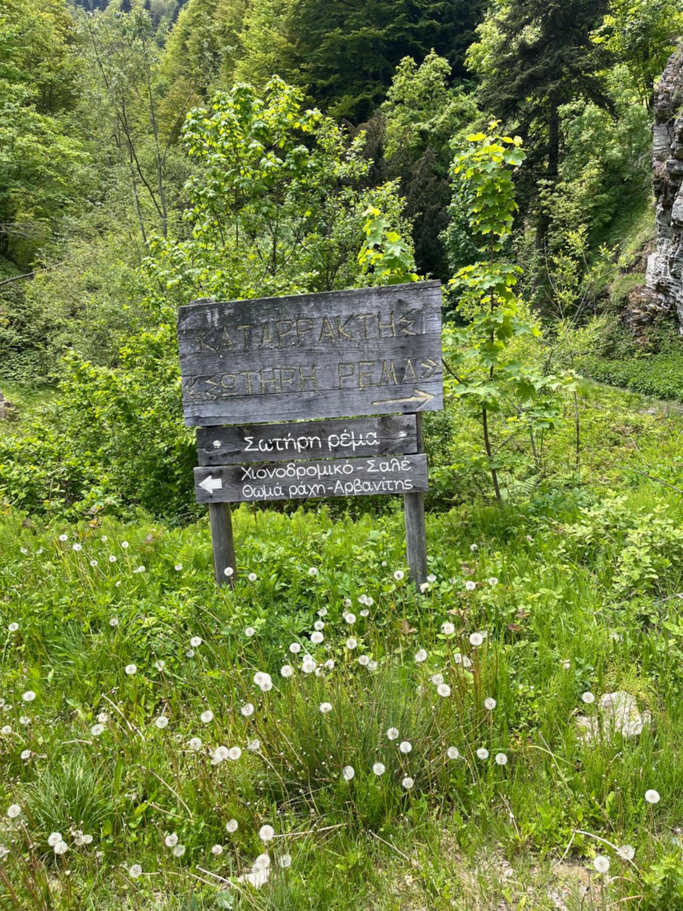 Elatovillage