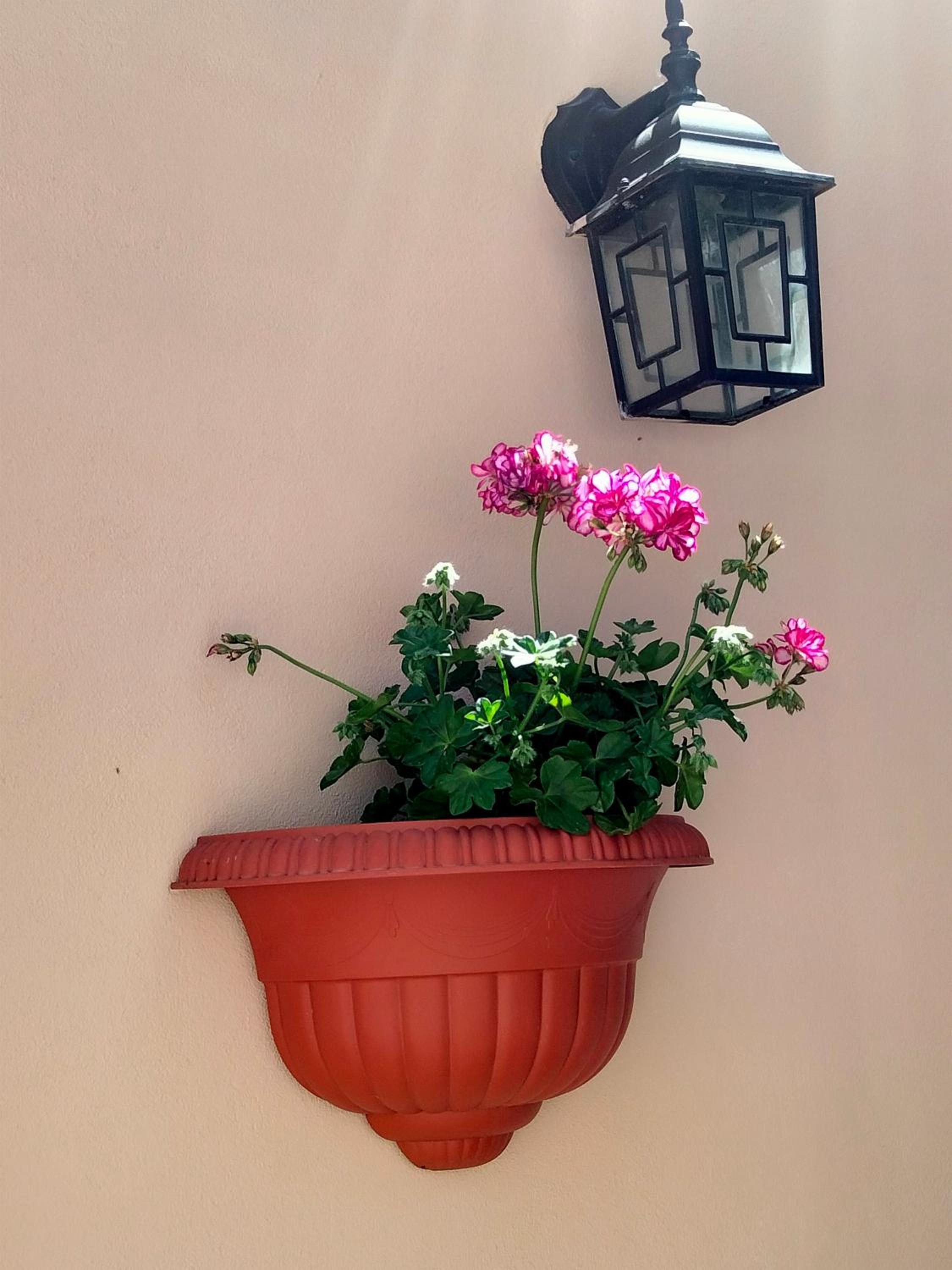 La Castellina 23, photo 41