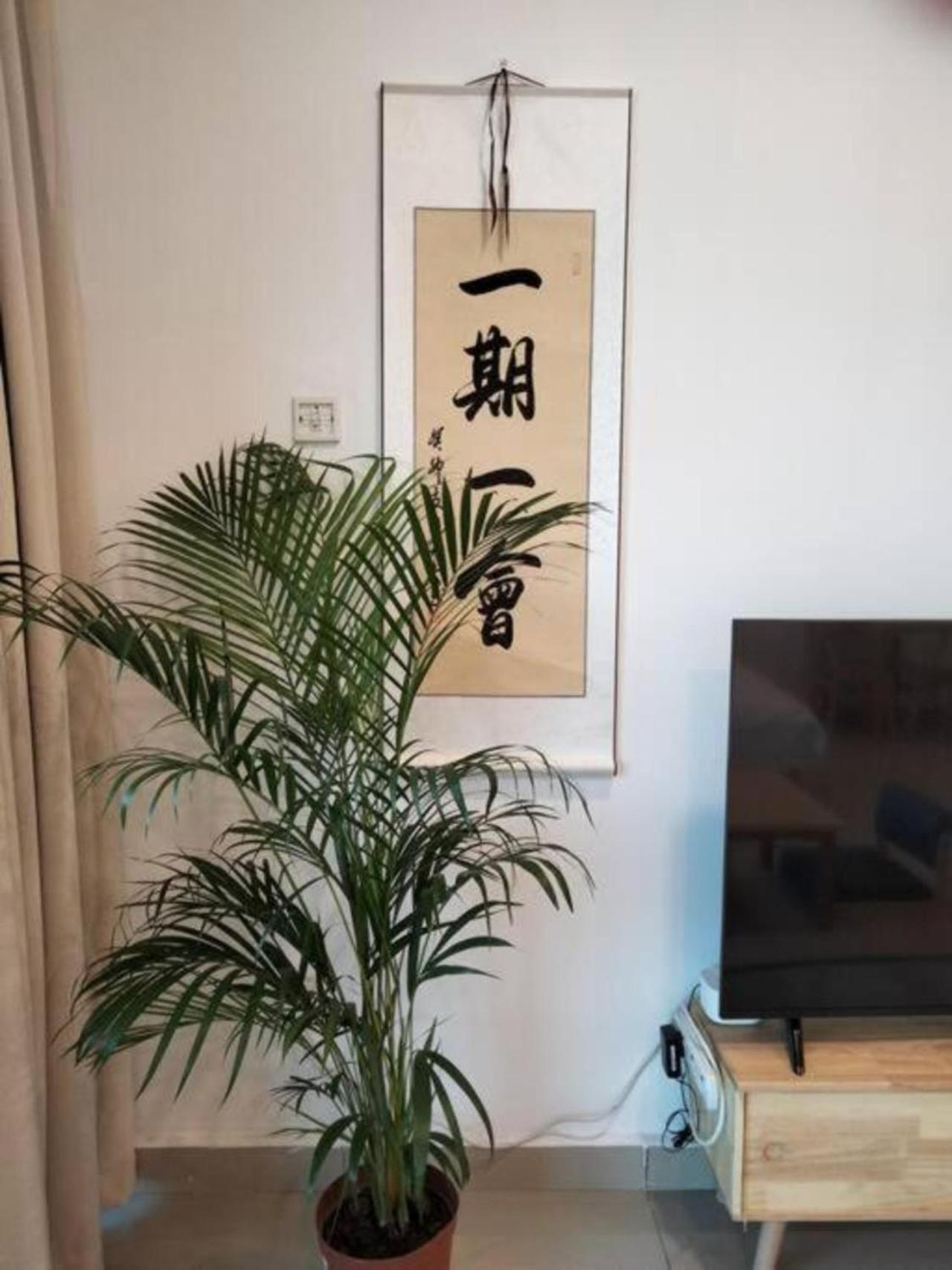 035 Palazio Apartment Japanese style Studio Mount Austin Wifi & Netflix