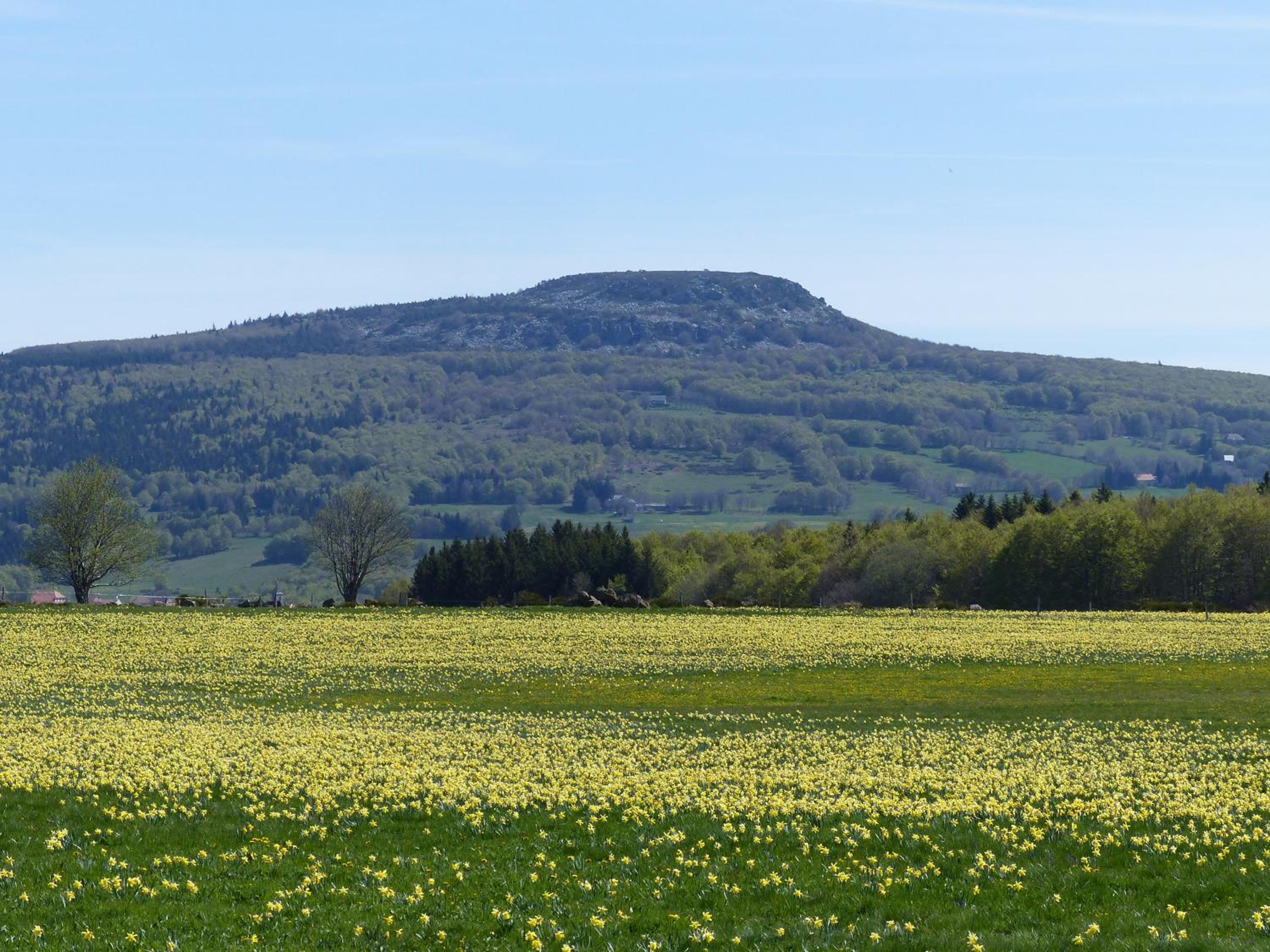 Terres de France - Le Domaine des Vans view 5