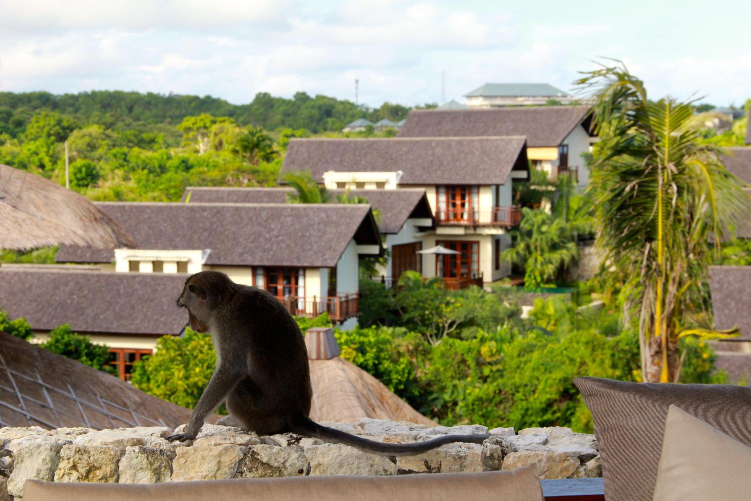 Escape to Paradise, Deluxe Fractional 2BR Garden Pool Villa Private Beach Near Uluwatu view 3