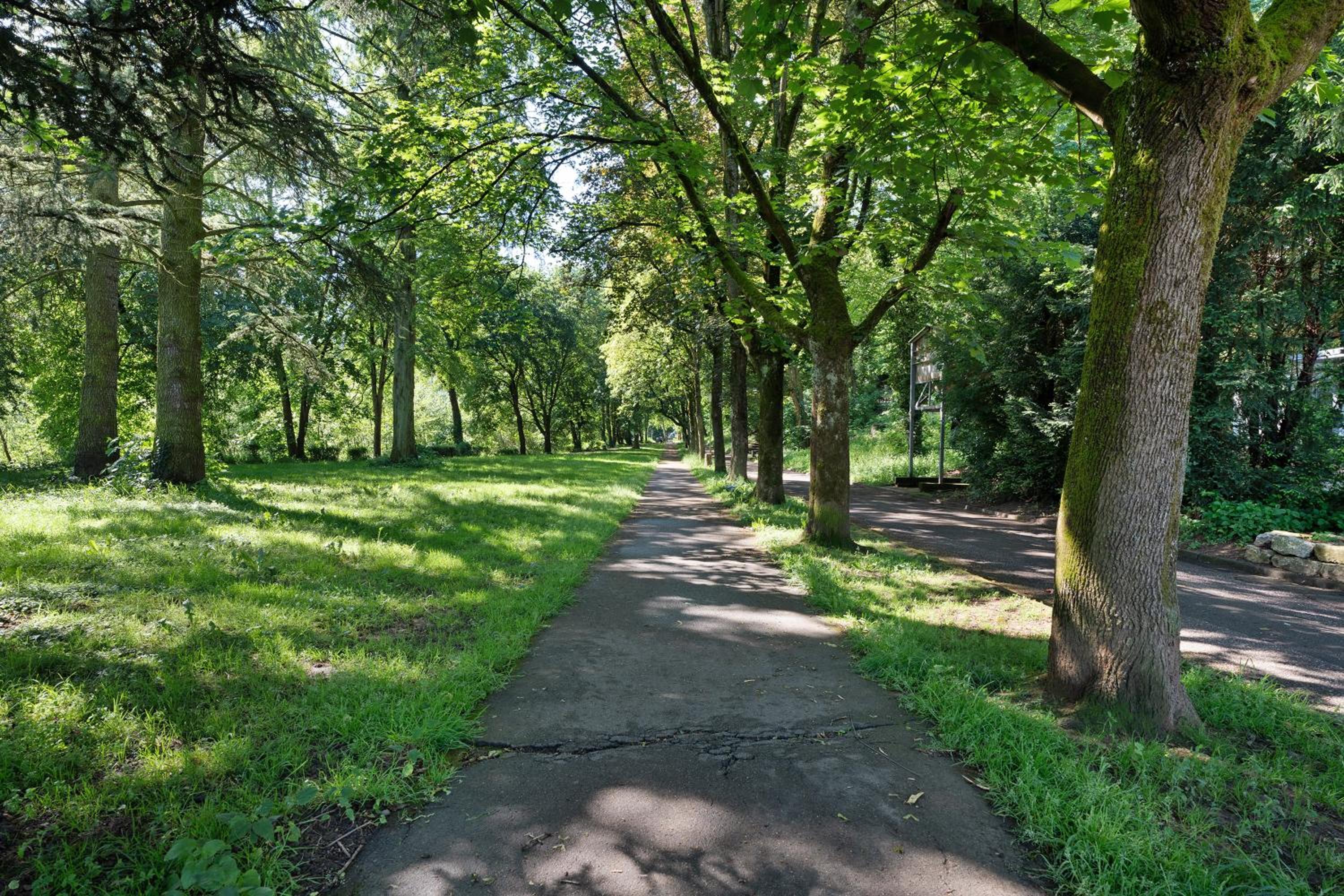 Die Bleichstraße