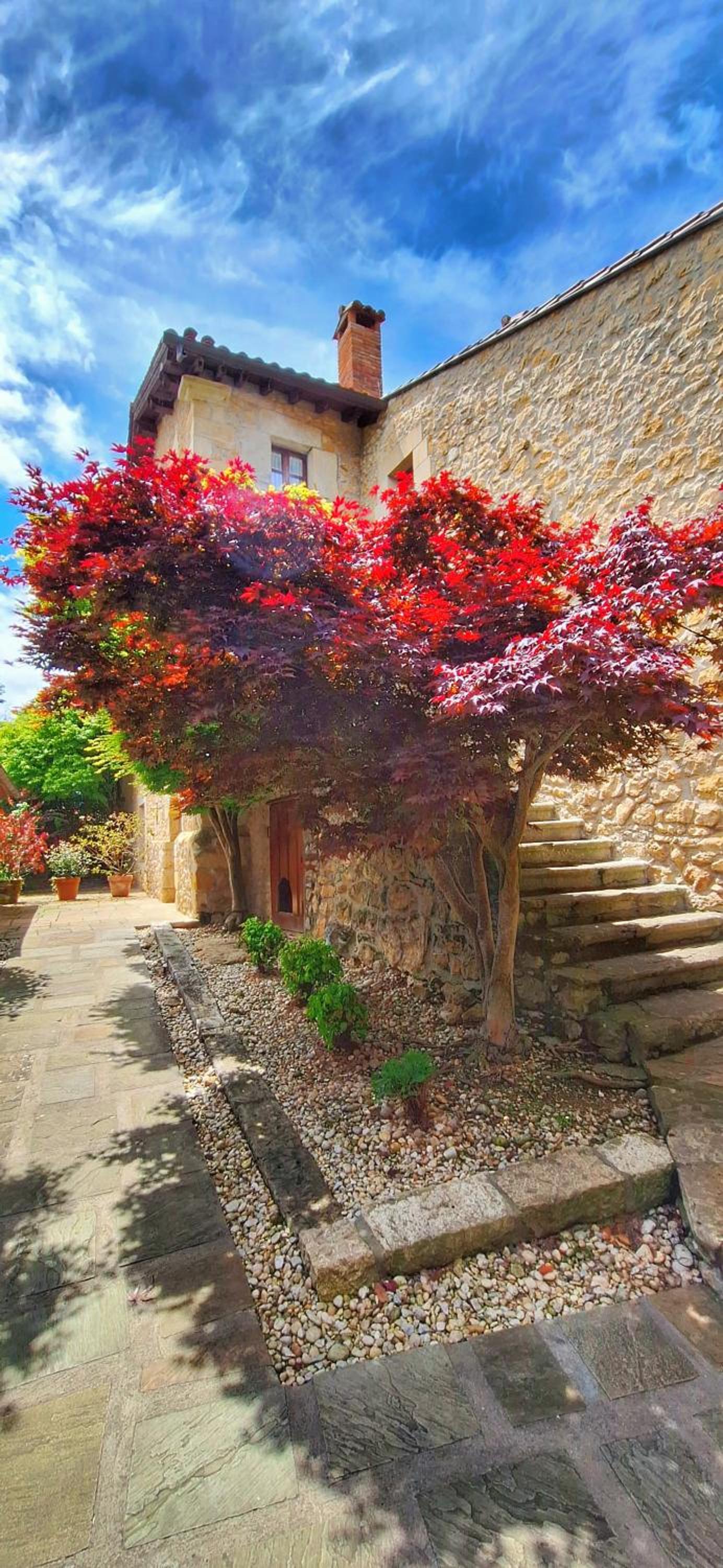 Apartamentos Palación de Santillana