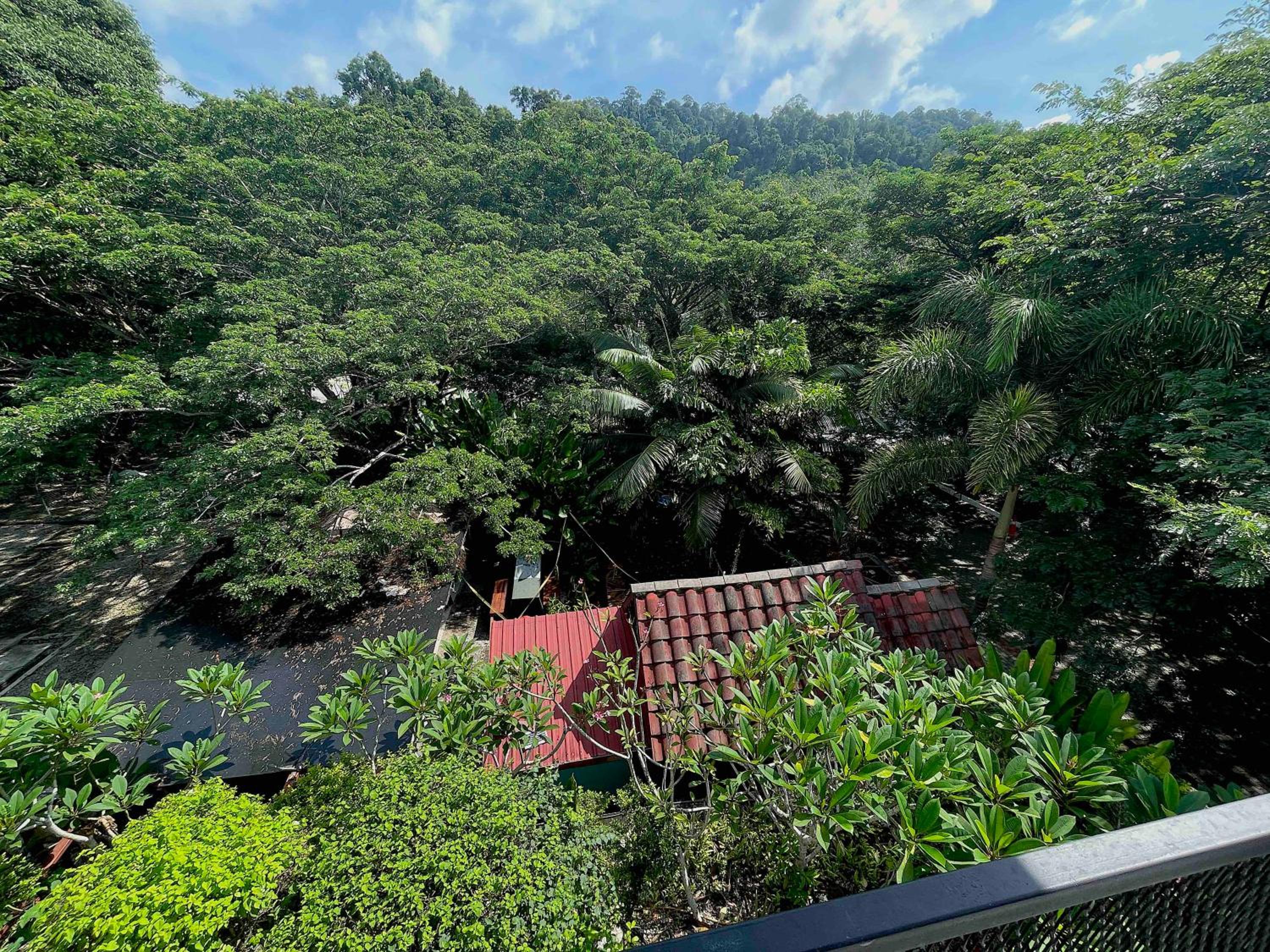 Rumah Singa, Villa 1 Andaman Hills, Langkawi