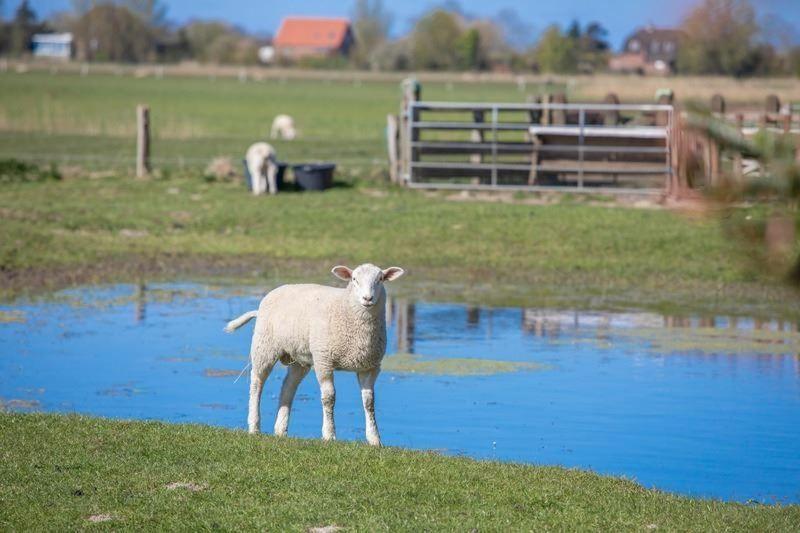Fewo-Inselblick