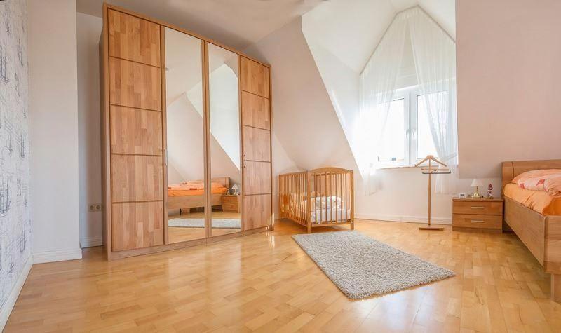 Haus-Strandlaeufer