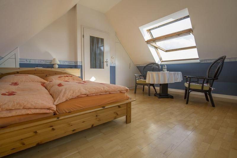 Haus-Strandlaeufer