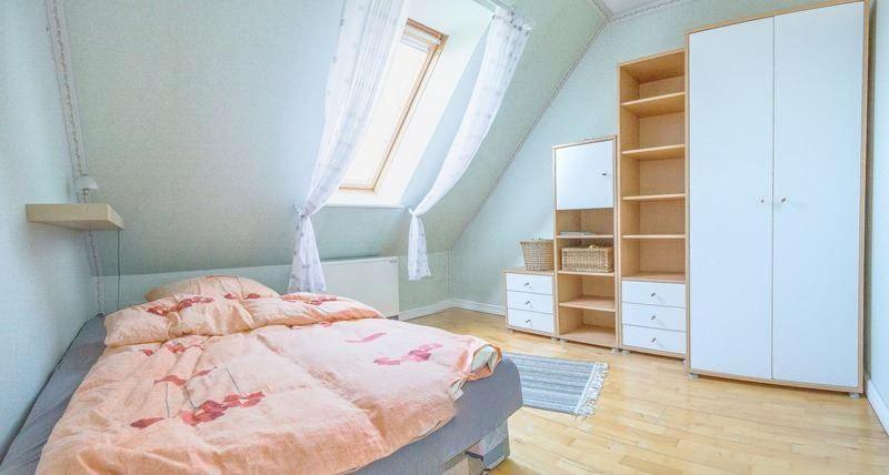 Haus-Strandlaeufer