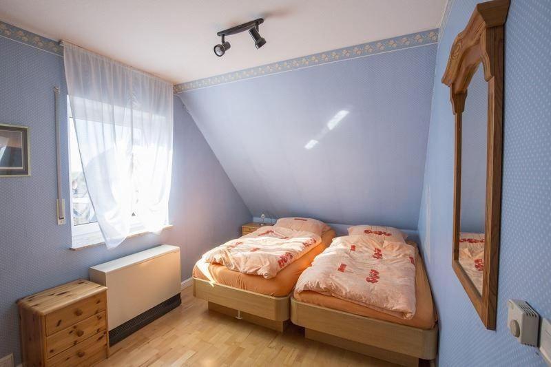 Haus-Strandlaeufer