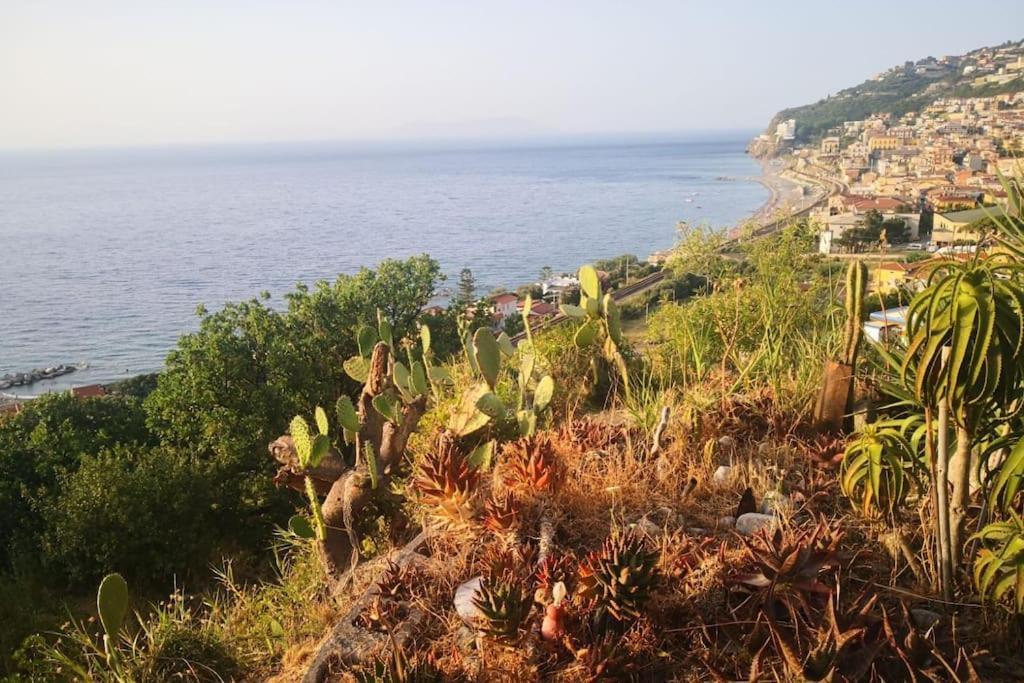 Casa Spisidda Appartamento monolocale "Vulcano" per 4 persone con vista sulle Eolie view 5