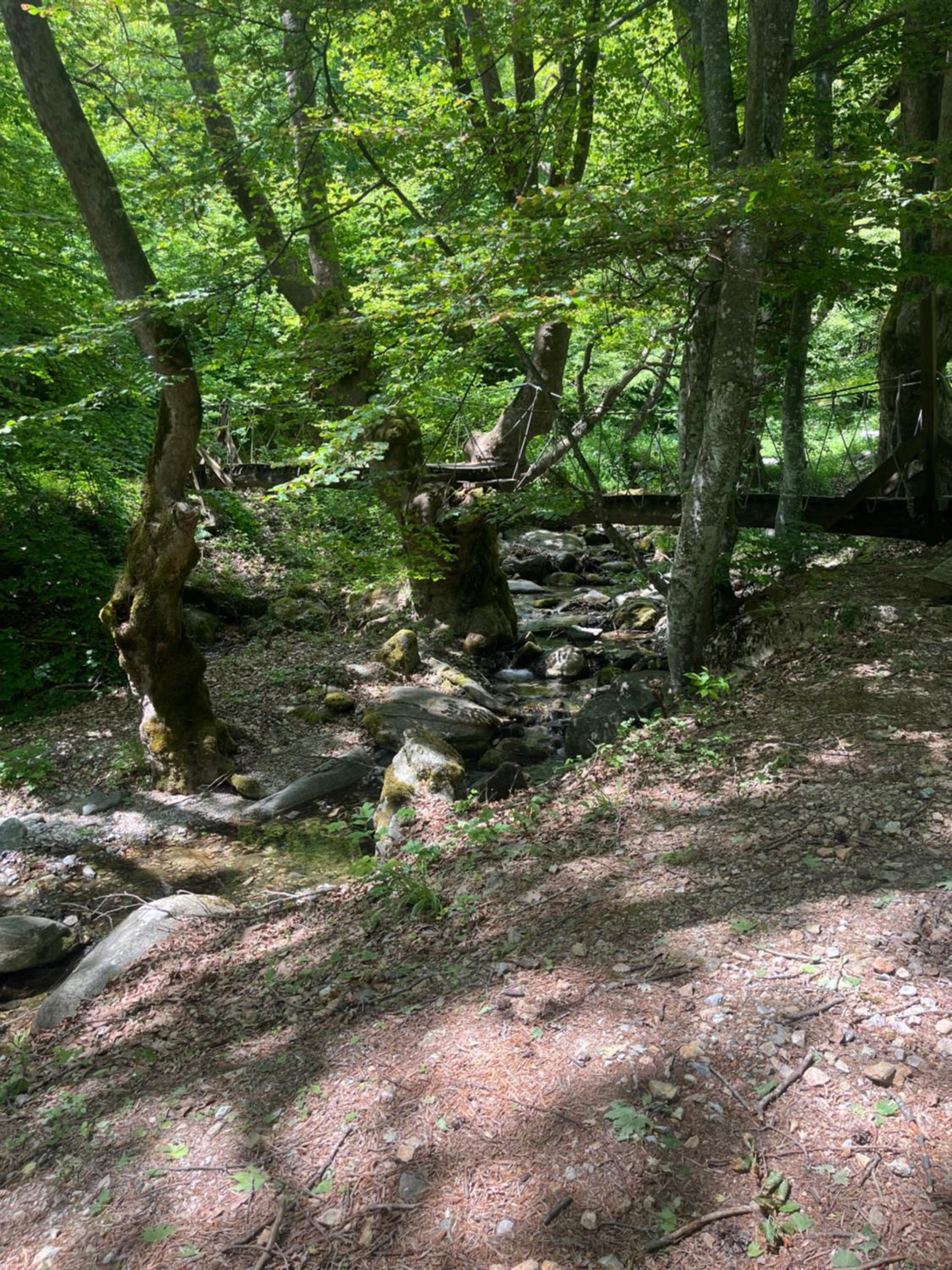 ElatoVillage