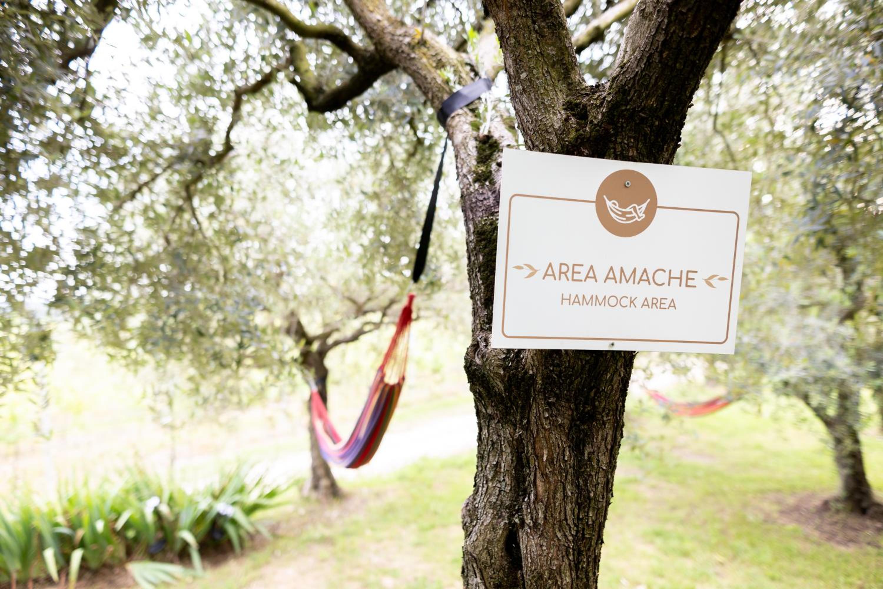 Tenuta EnGi, photo 30