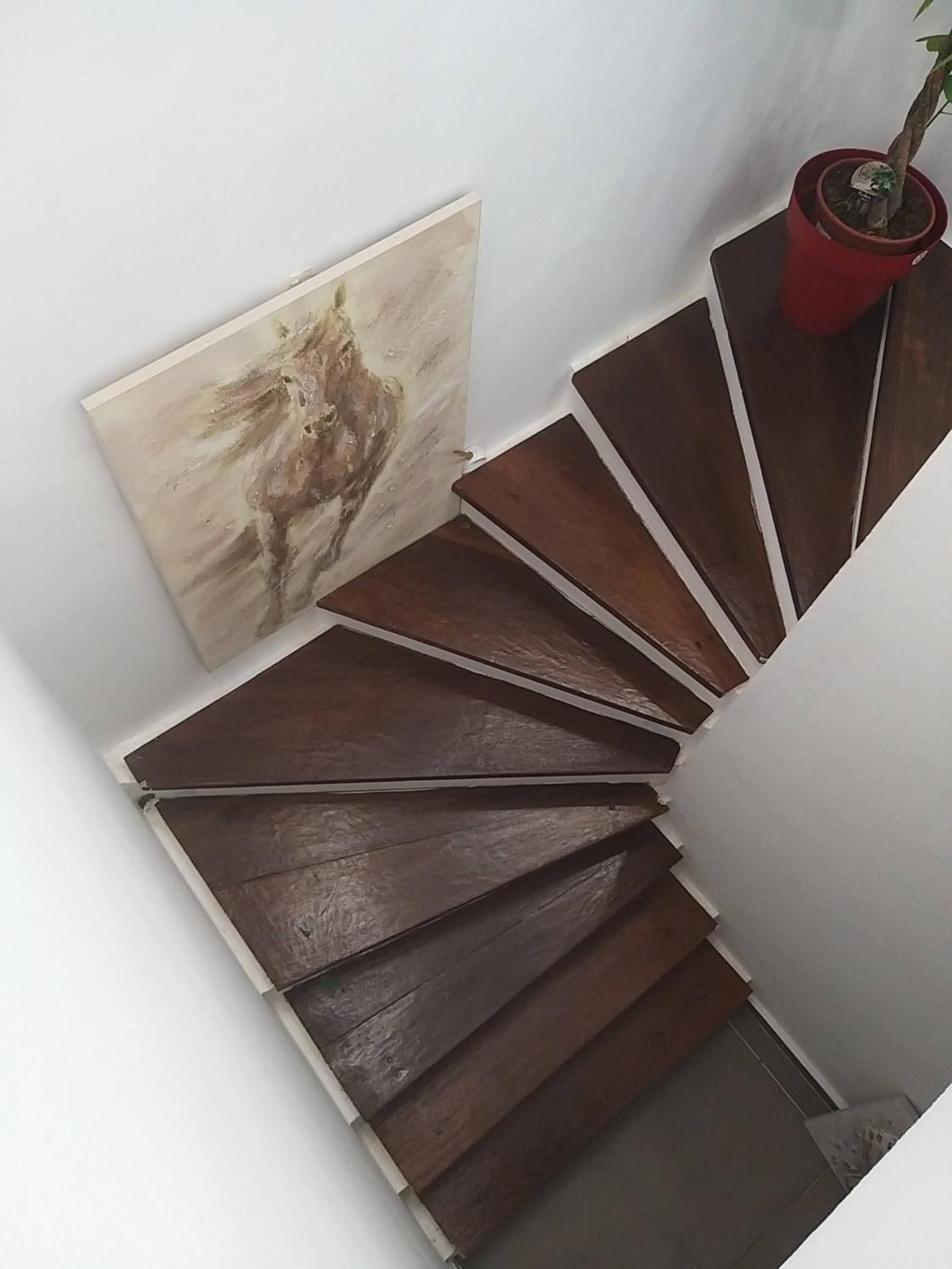 duplex moderne baimbridge