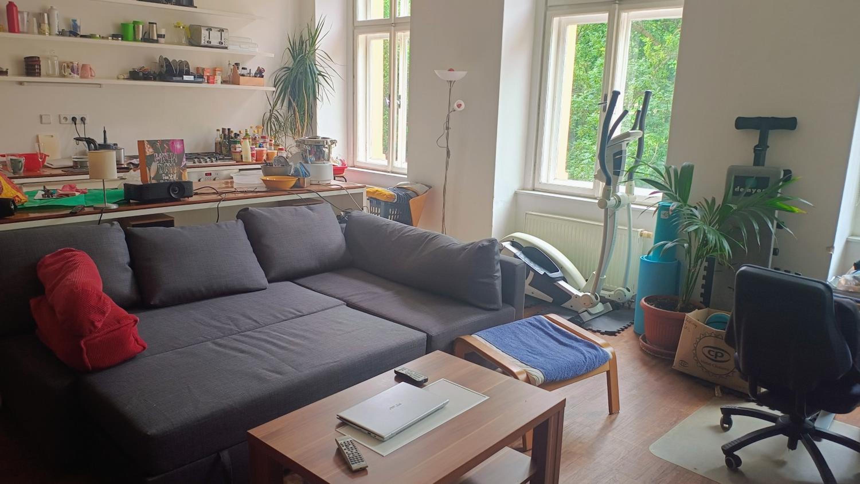 Park View - a digital Nomad's dream