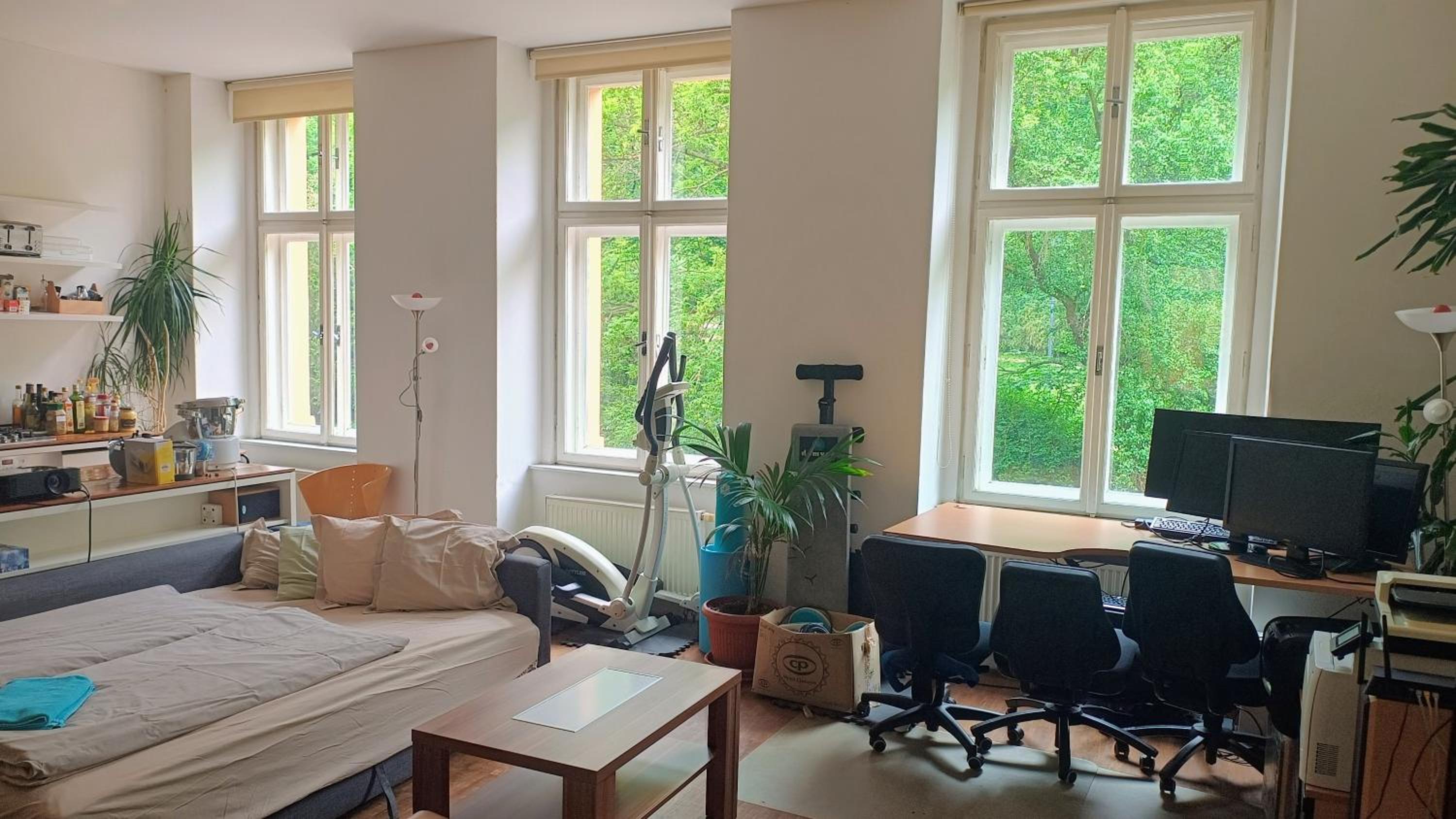 Park View - a digital Nomad's dream