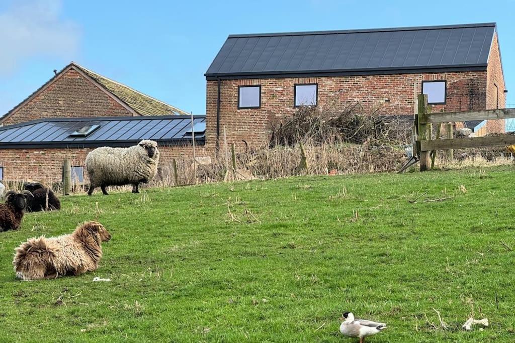 The Hayloft, Modern 4 Bed, 8 person, Barn Conversion in a Rural Location with Great Access & Hot Tub view 3