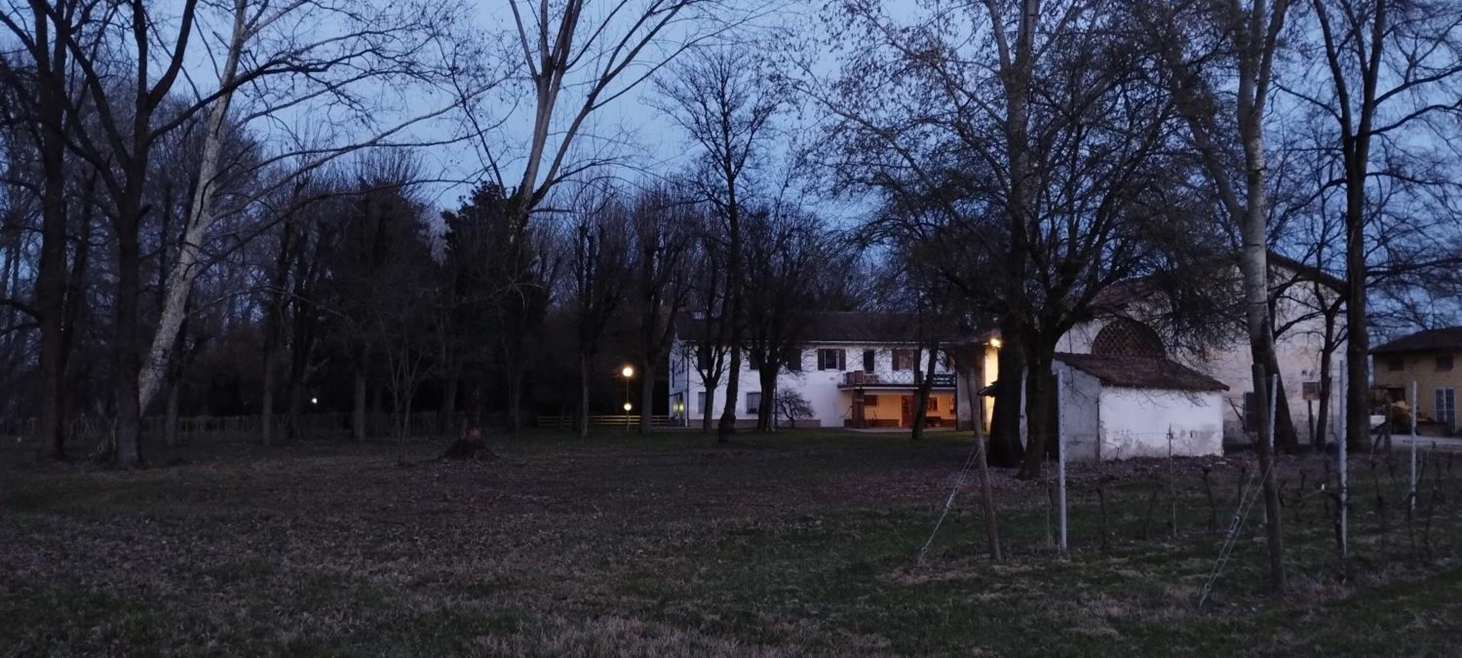Photo 47