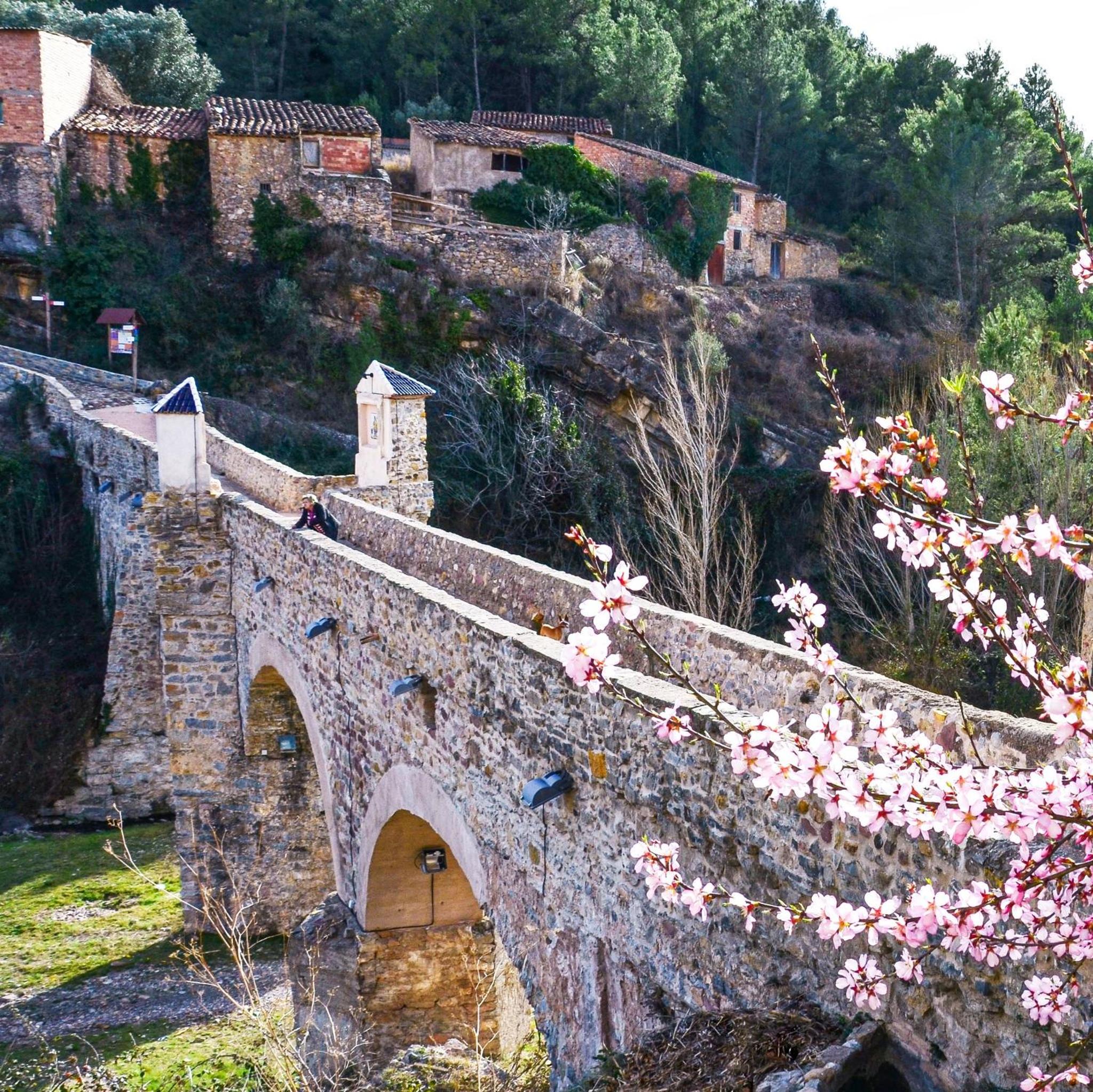 Casa Raquel Montanejos