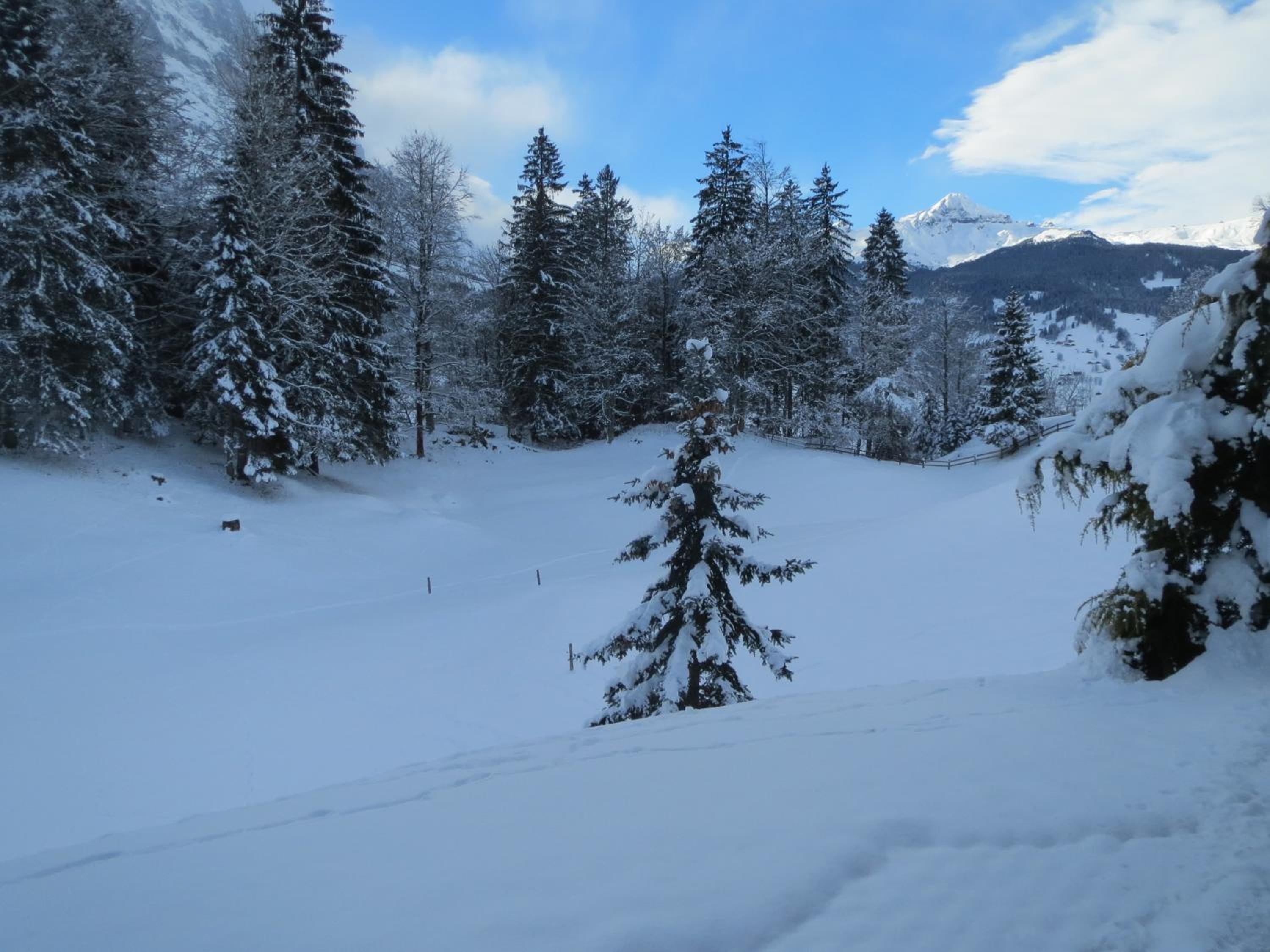 MOM - Alpine Boutique Apartments, Grindelwald gletscher, Eiger View Terrace Studio