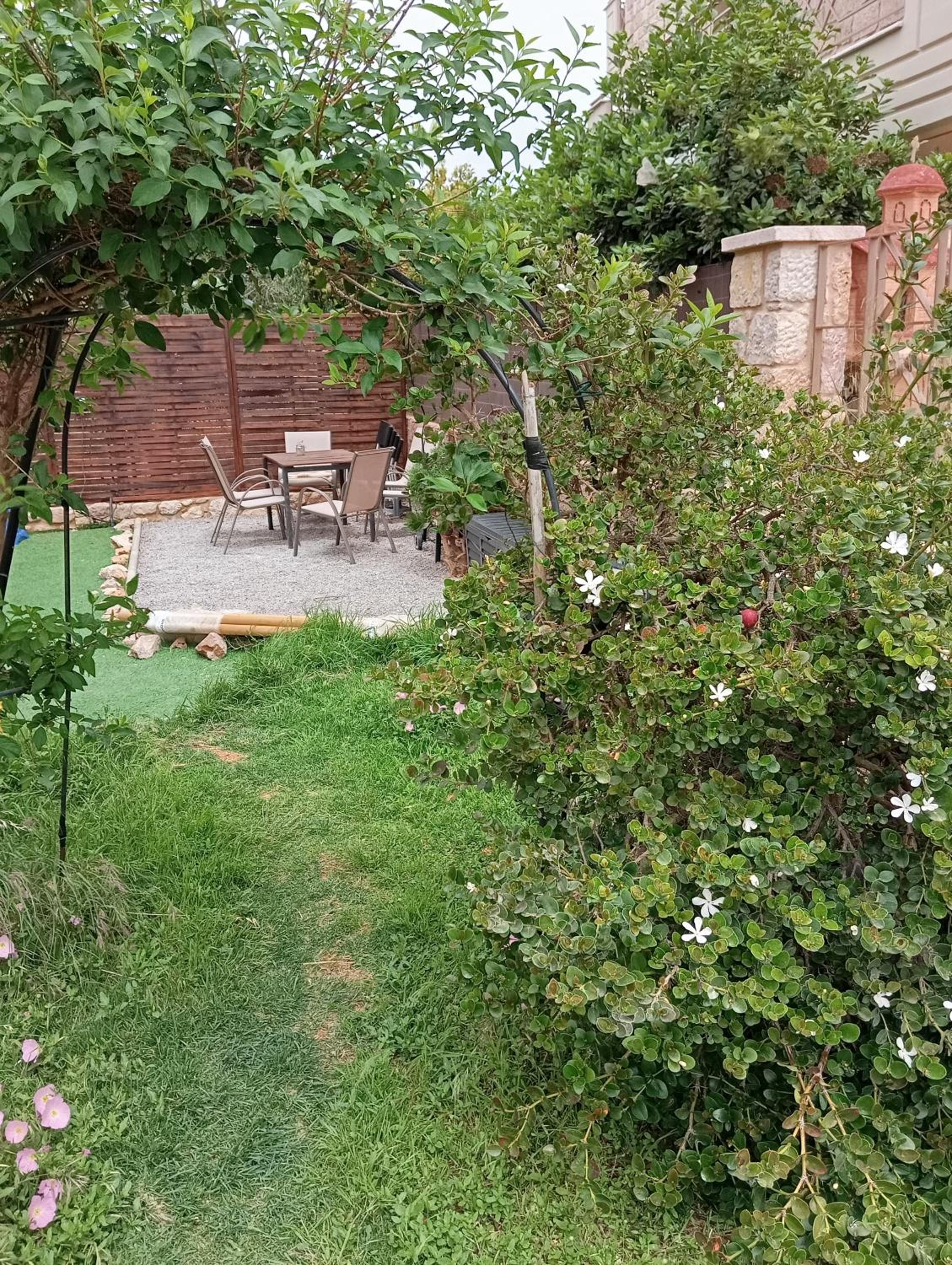 Photo 42