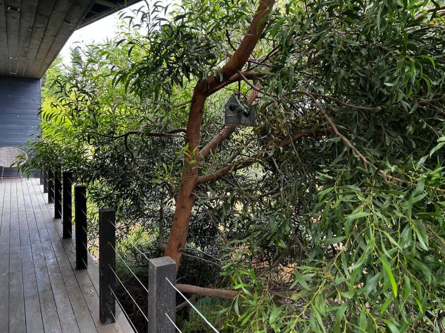 Casa Loto