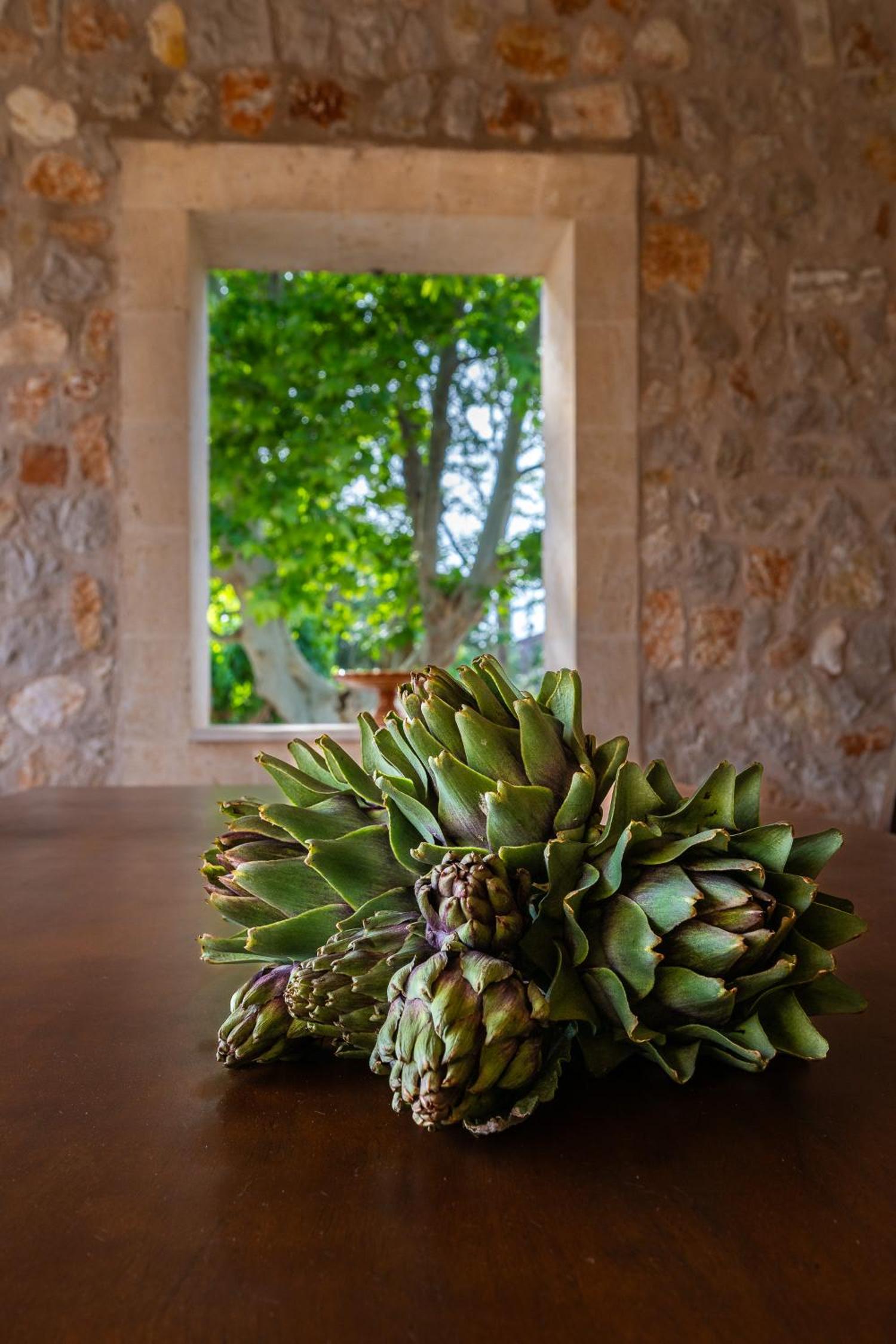 FINCA MANACOR