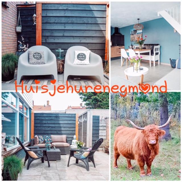 B&B Joeys place