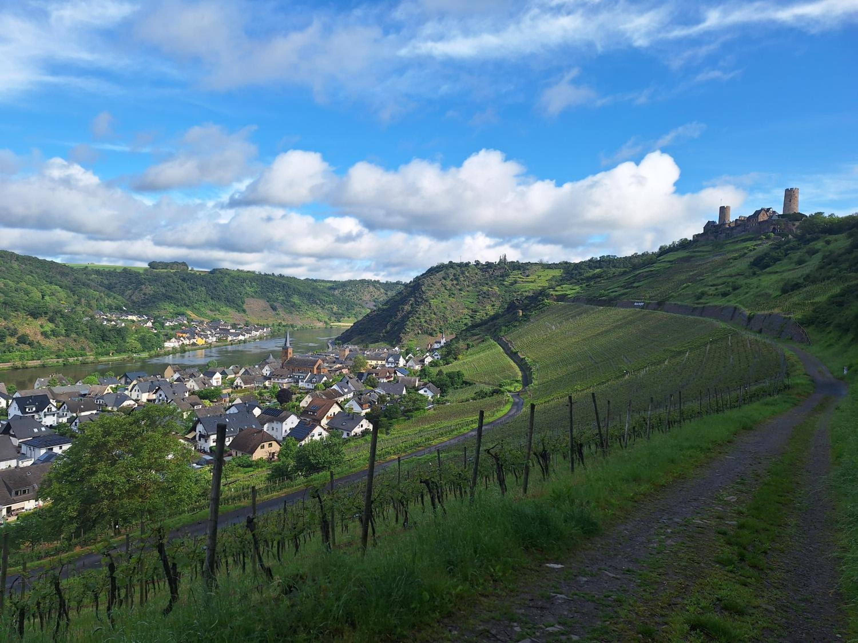 Moselburgblick