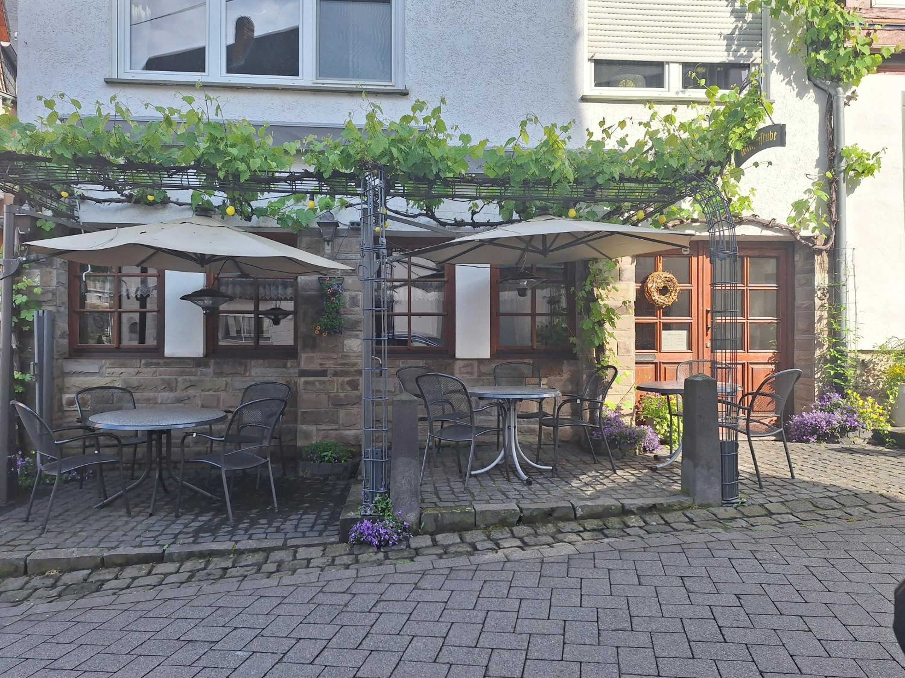 Moselburgblick