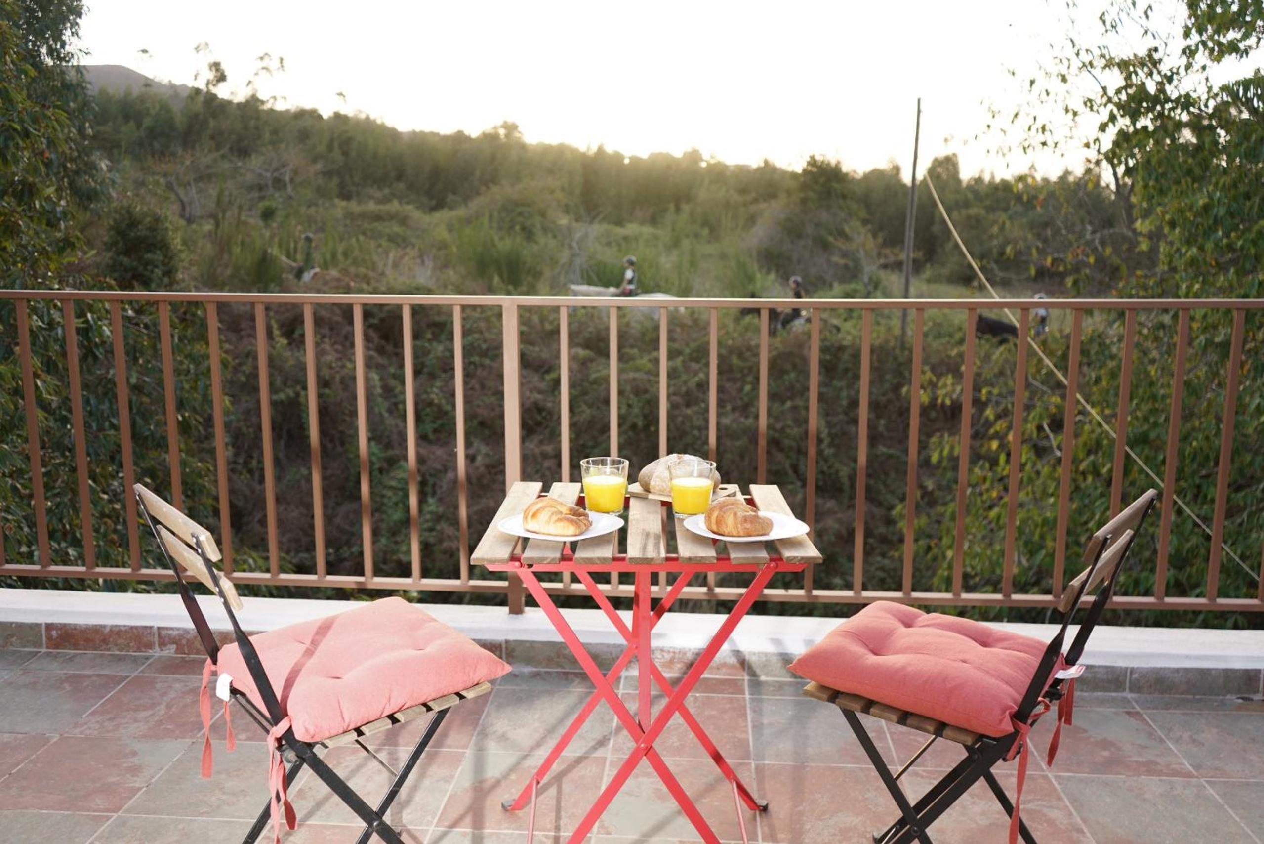 balance & terrace