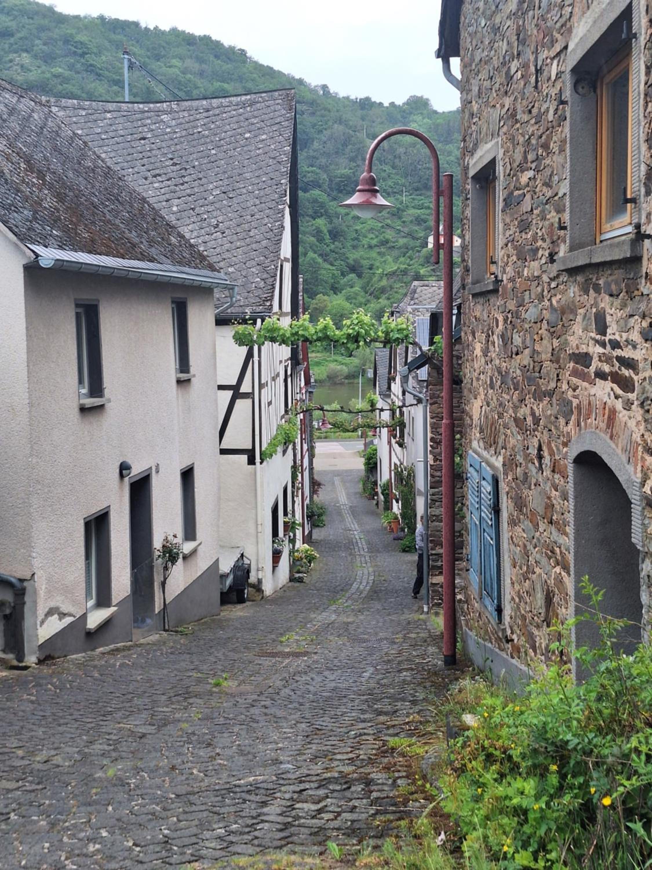 Moselburgblick