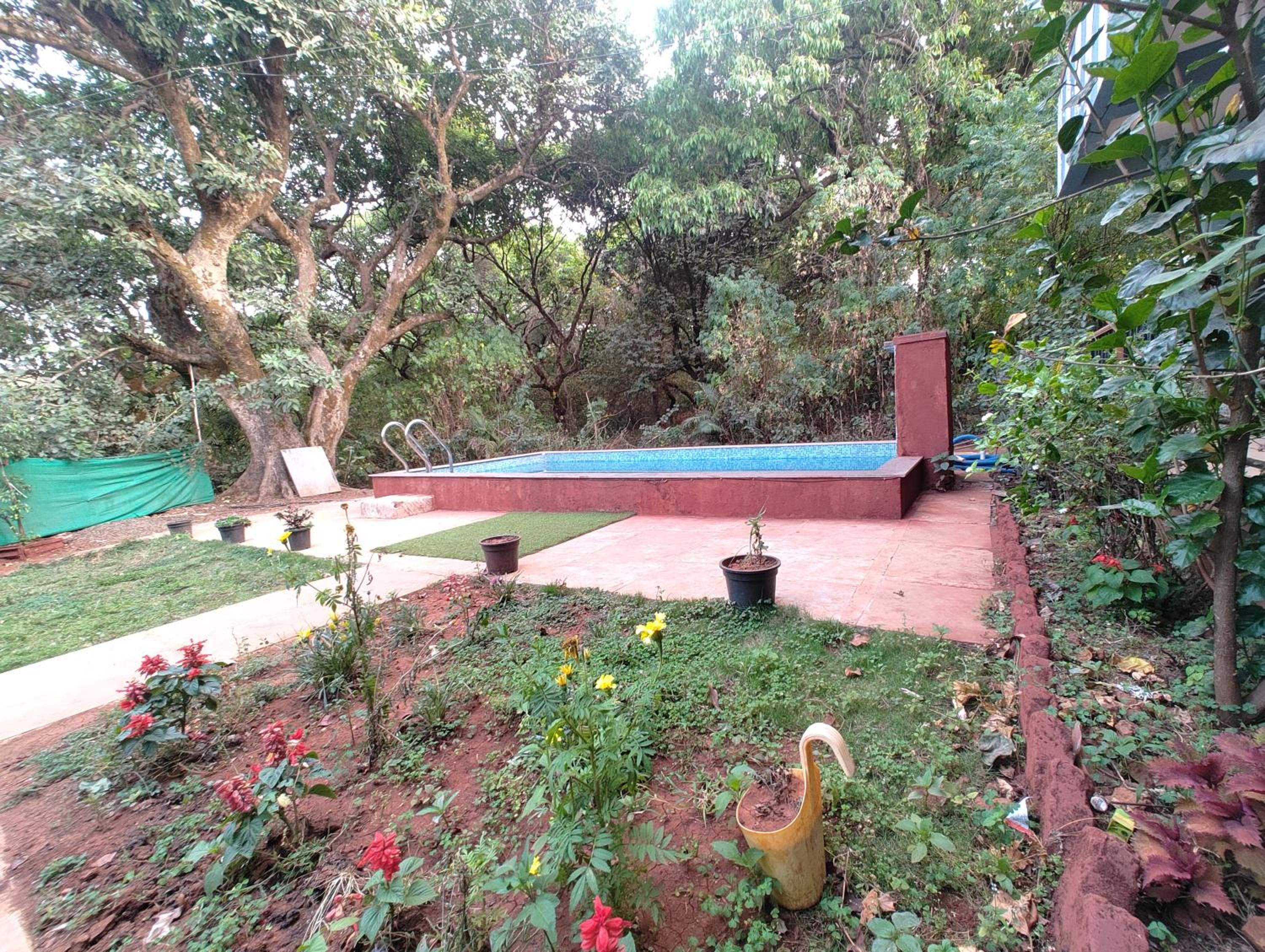 Photo 7