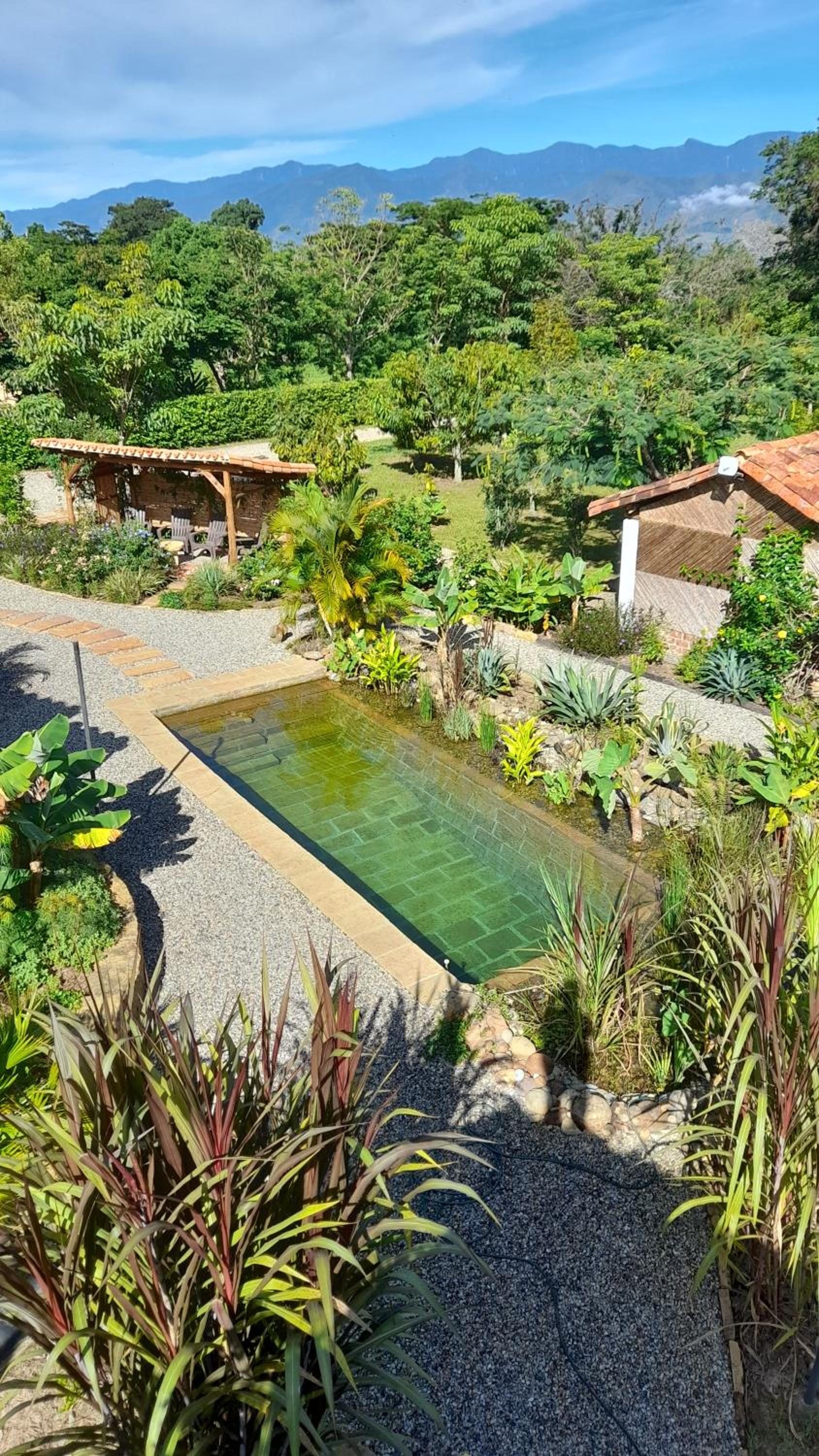 Casa Alamanda B&B