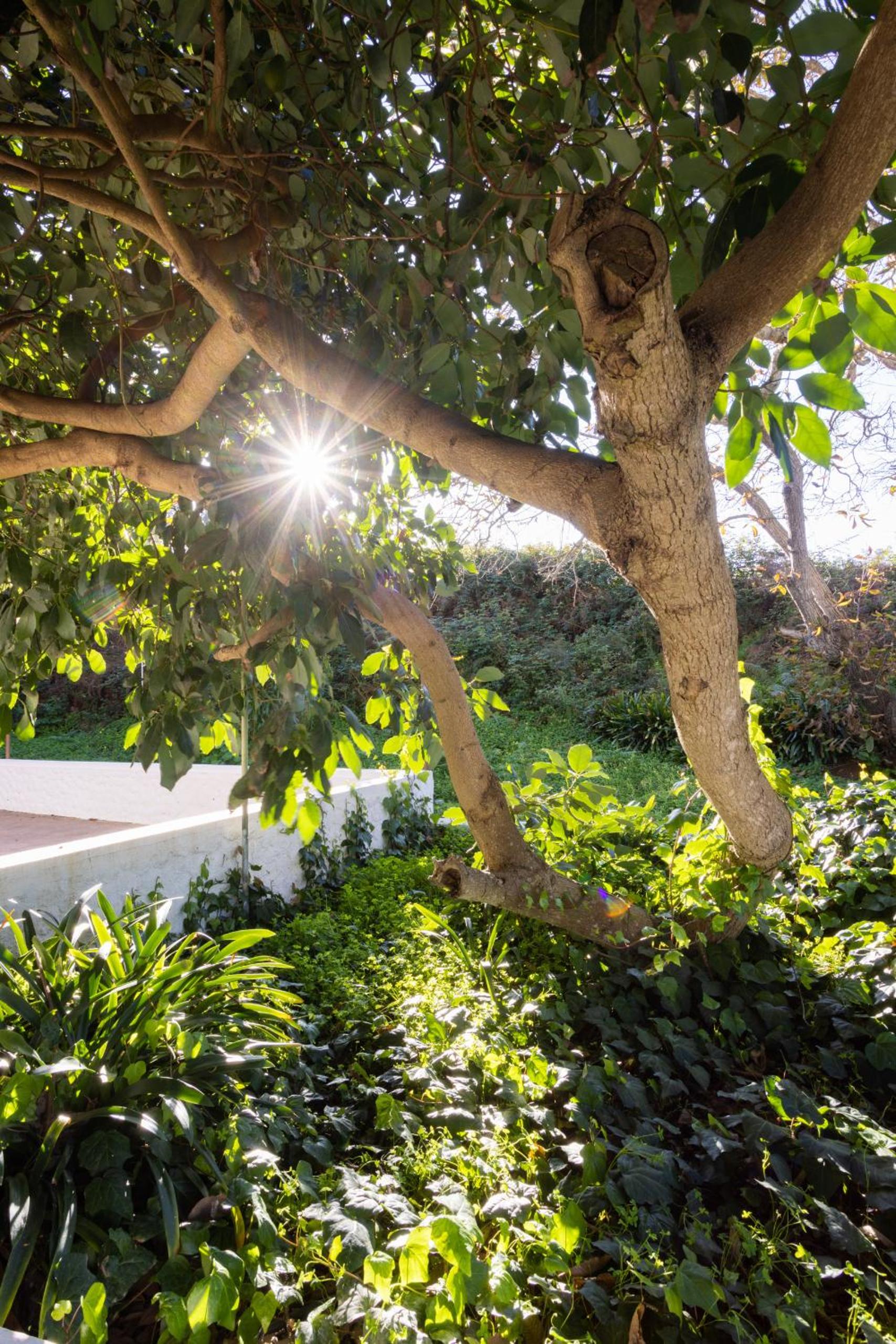 OkStay Casa de campo MiSueño